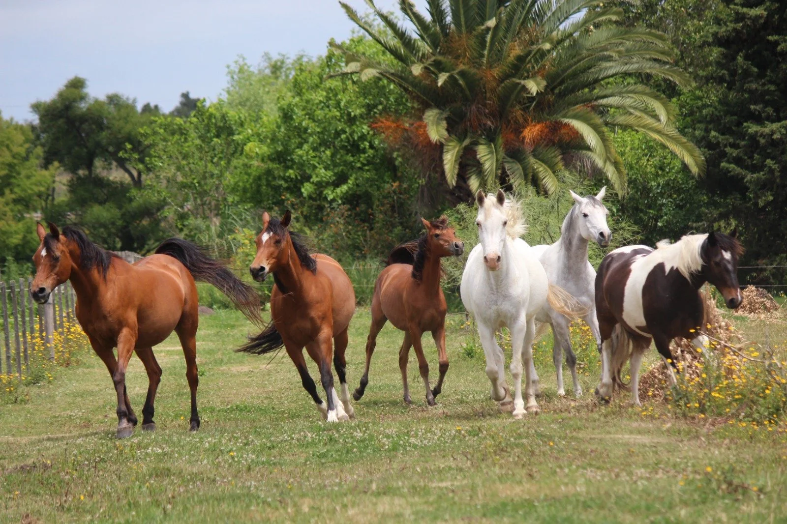 WhatsApp Image 2023-12-21 at 7.09.43 PM.jpeg