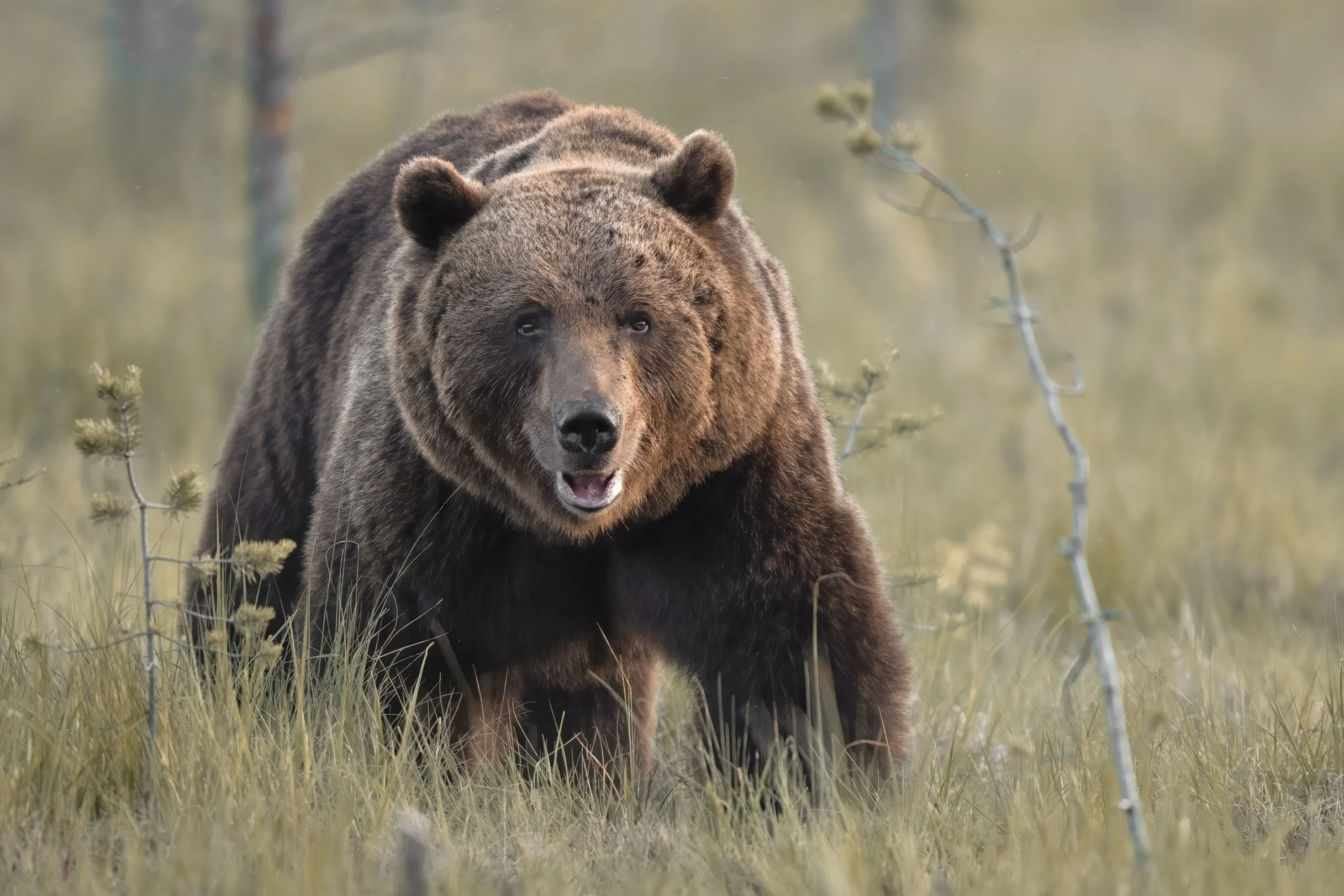 DSC09661-Bearbeitet 2.jpg