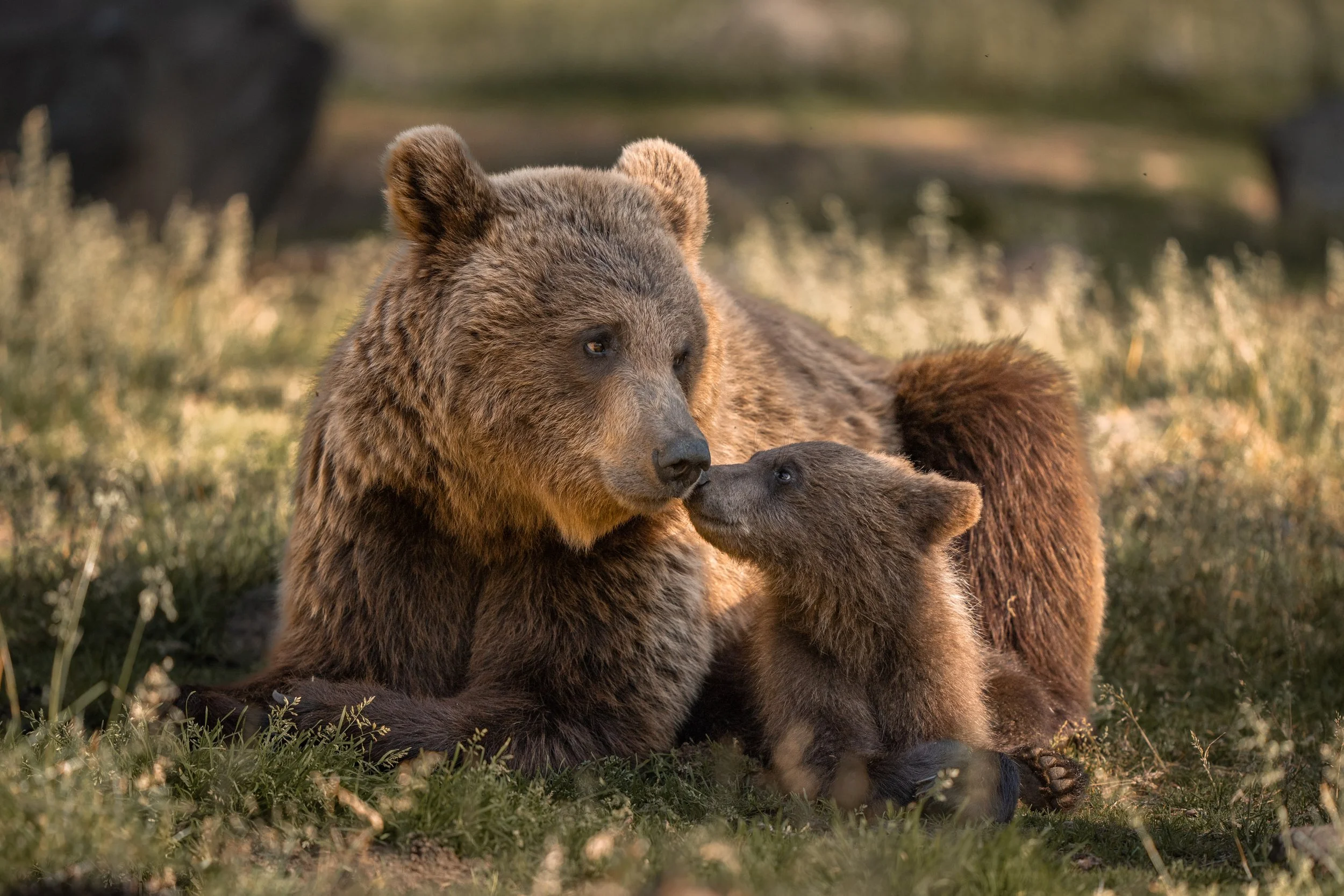 Mutterliebe Monika Seyffer.jpg