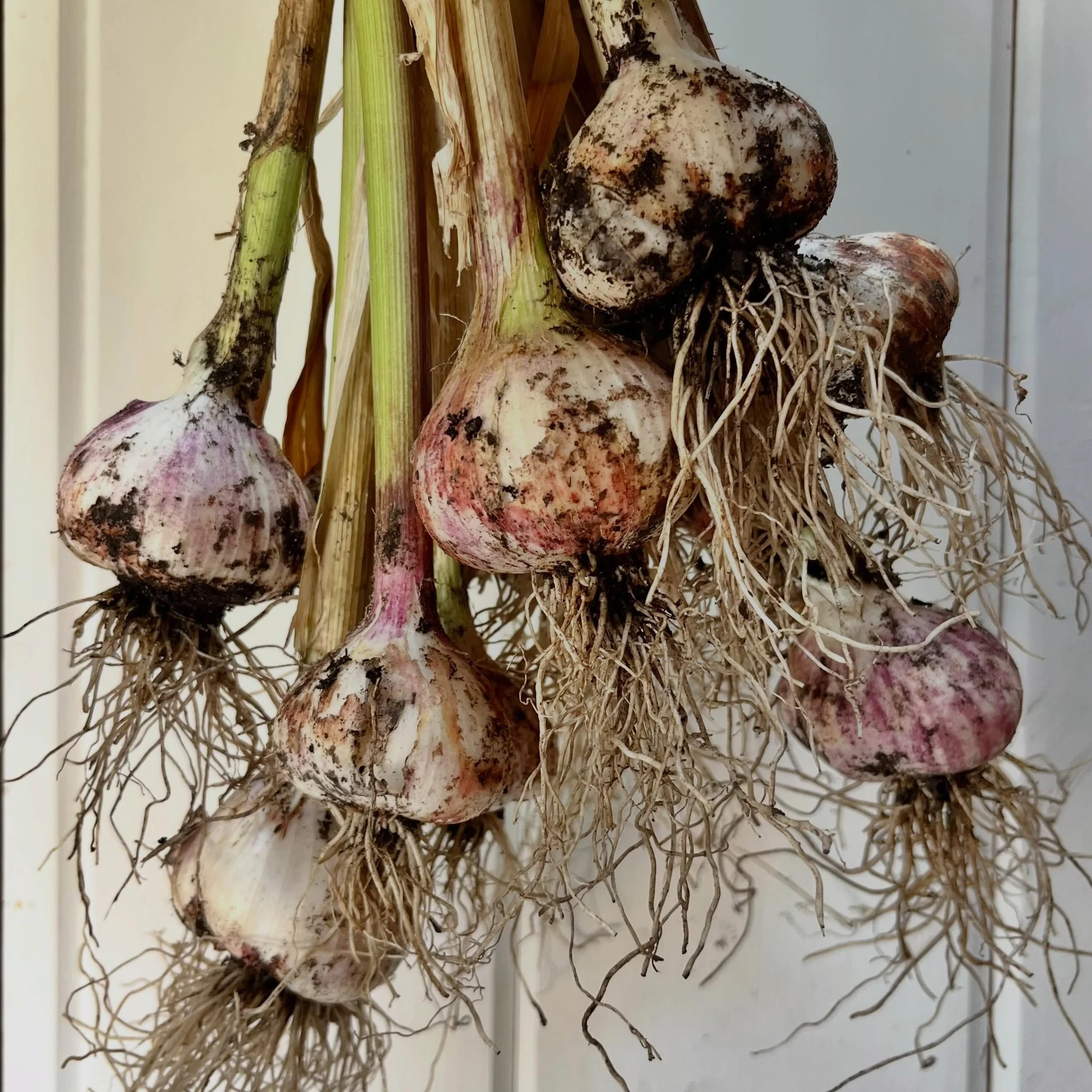 Grow stuff people.  It's hope inducing.