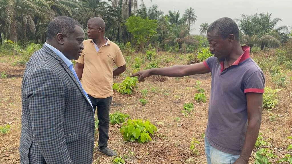 the-village-link--03-01 at 7.46.42 AM.jpeg