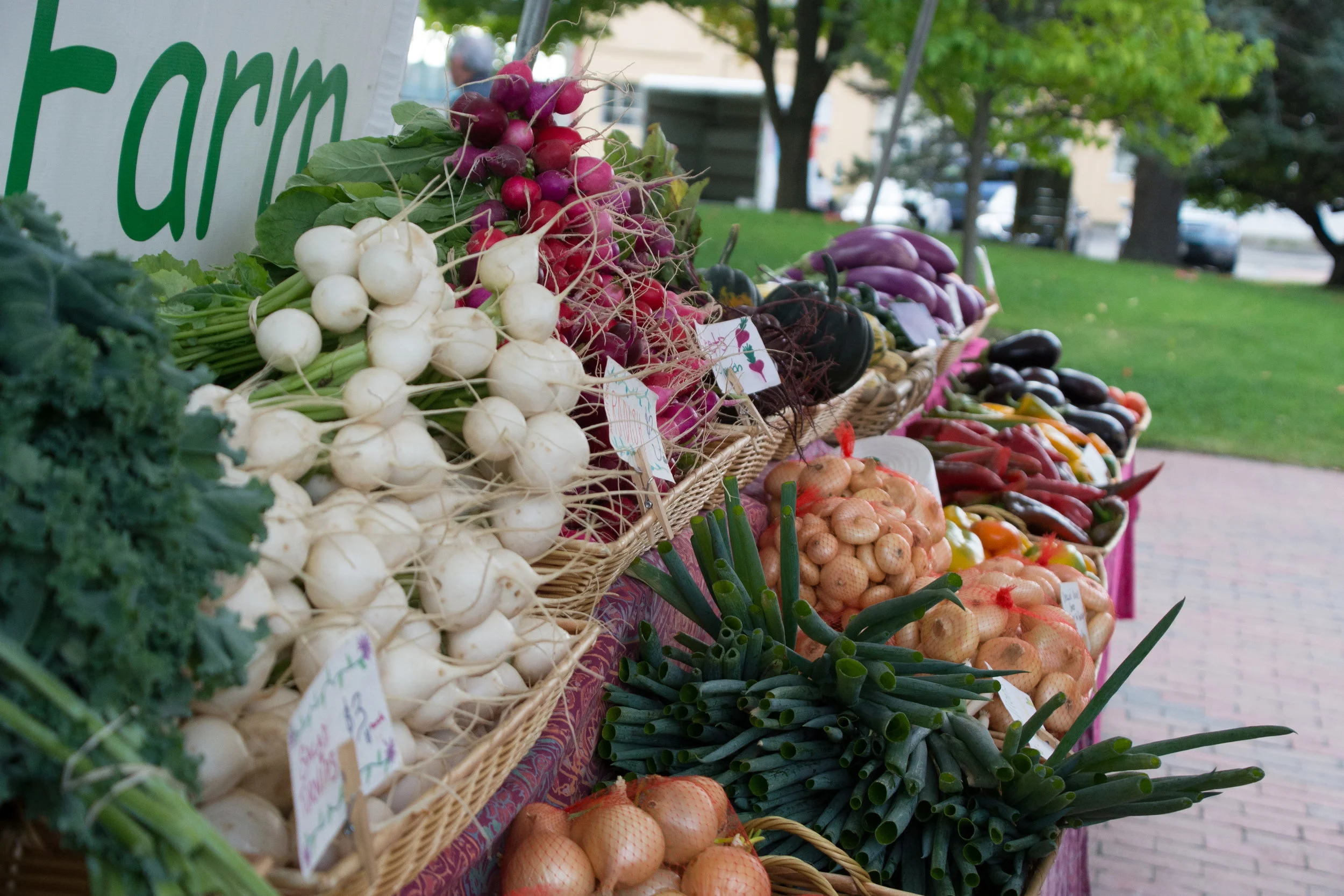 Fall Oct 2017-36.jpg