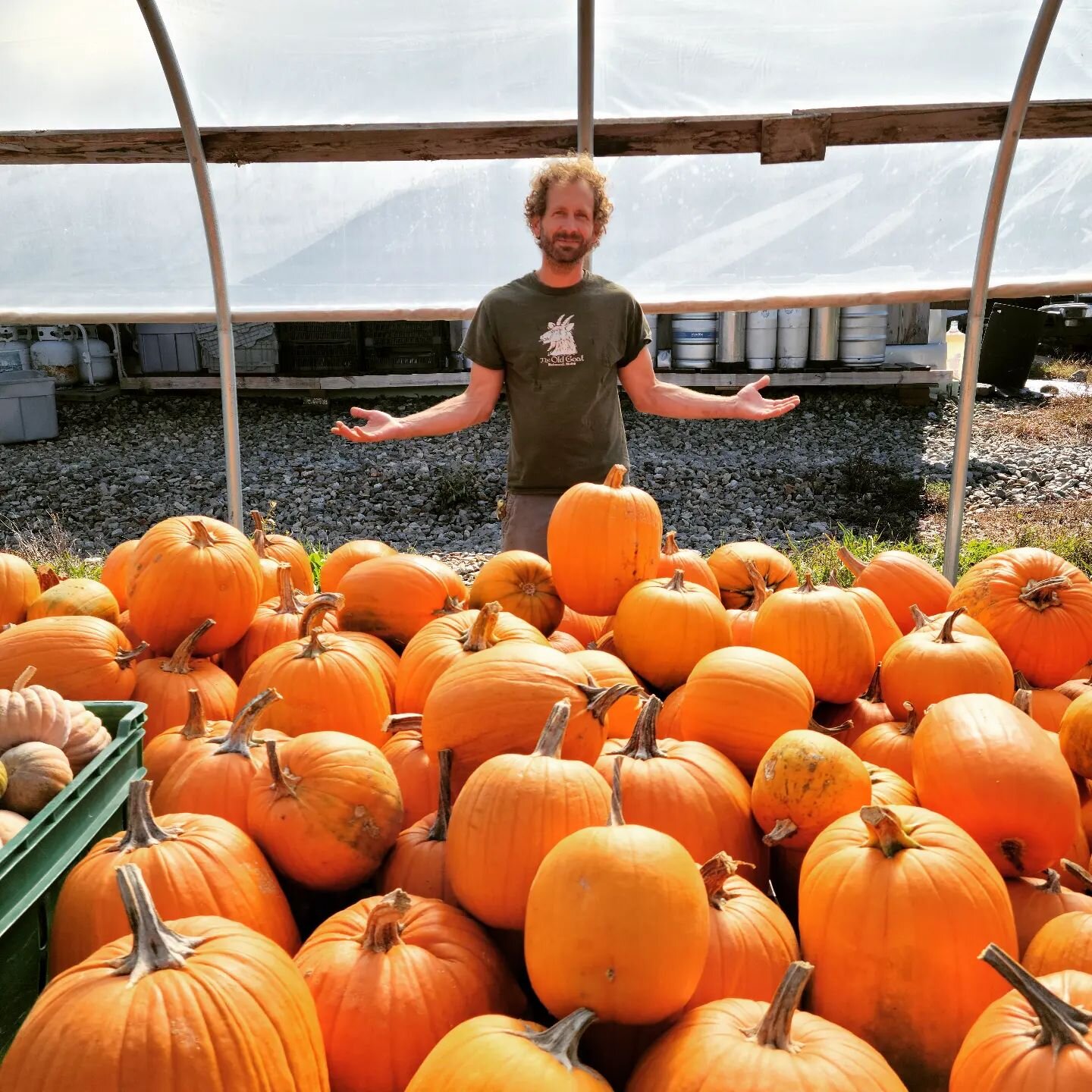 Pumpkins, pumpkins, pumpkins.  Get your pumpkin from this guy.

#fall #autumn #Halloween #jackolantern #timetocarve #favoriteseason #abundance