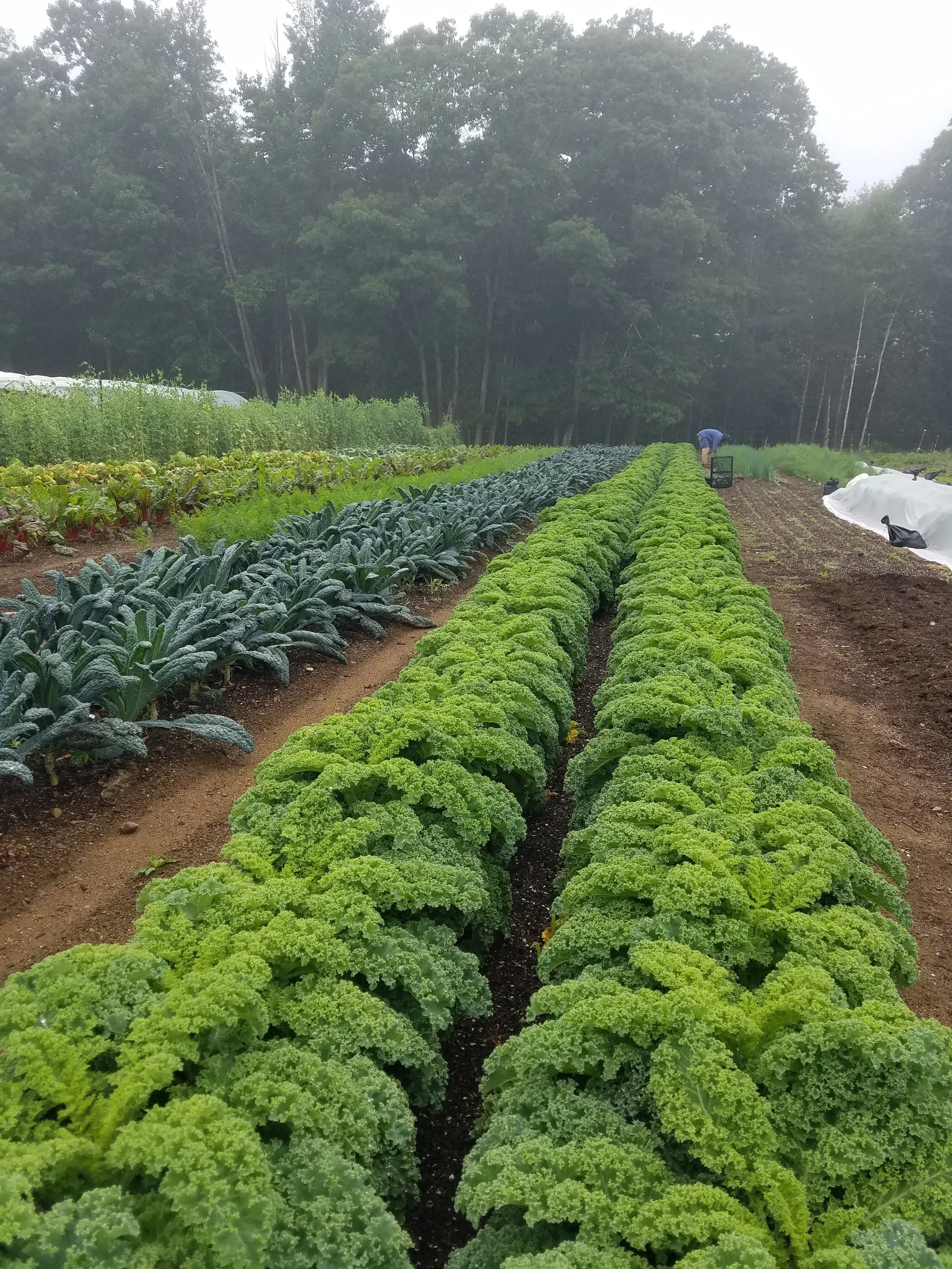 20210714_102817 (1).jpg