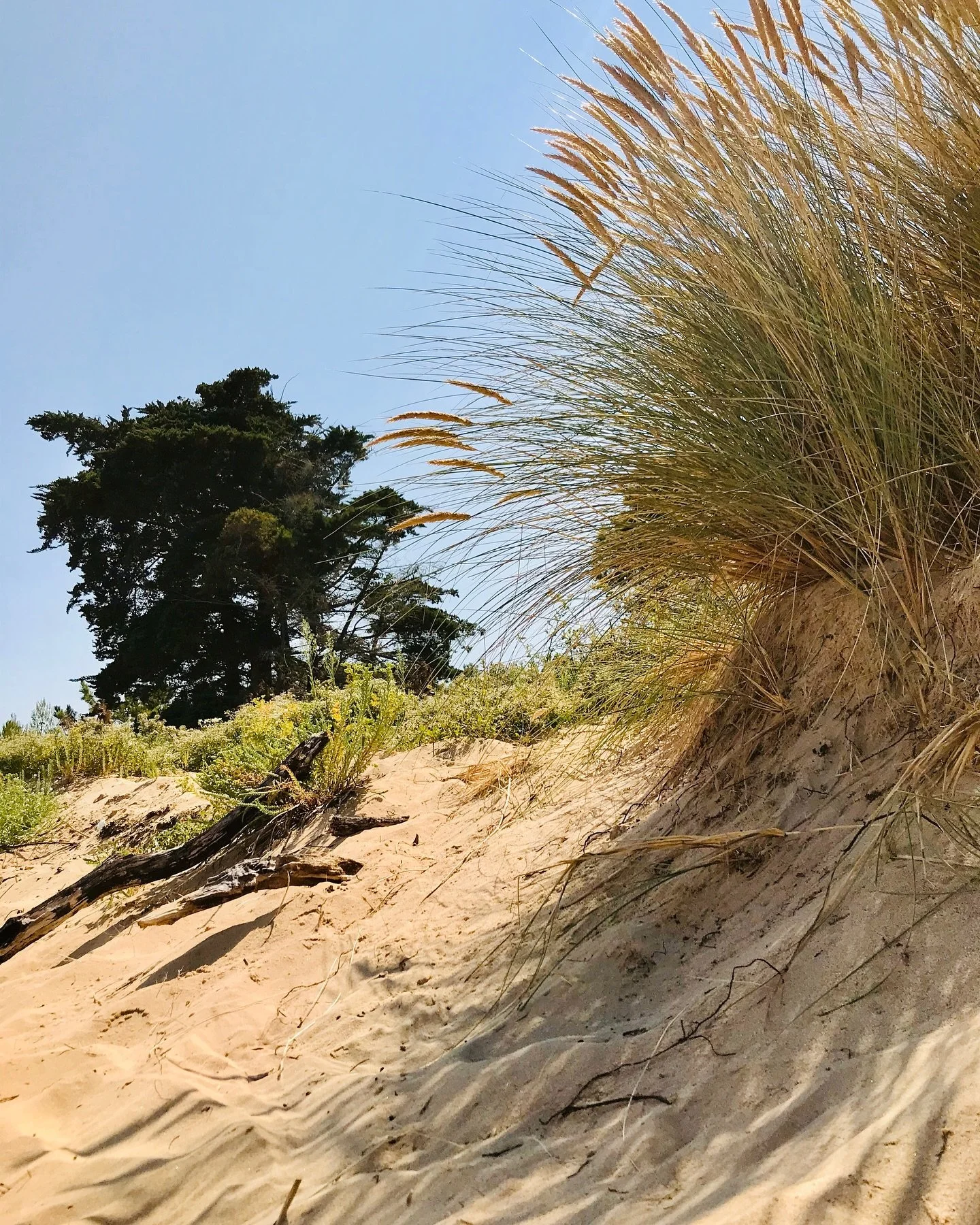 Quand la terre s&rsquo;&eacute;veille&hellip;
Les beaux jours reviennent.
La lumi&egrave;re s&rsquo;&eacute;tire, les vents deviennent plus doux, et la terre, lentement, se r&eacute;chauffe.

Avec le printemps, une envie rituelle rena&icirc;t : celle