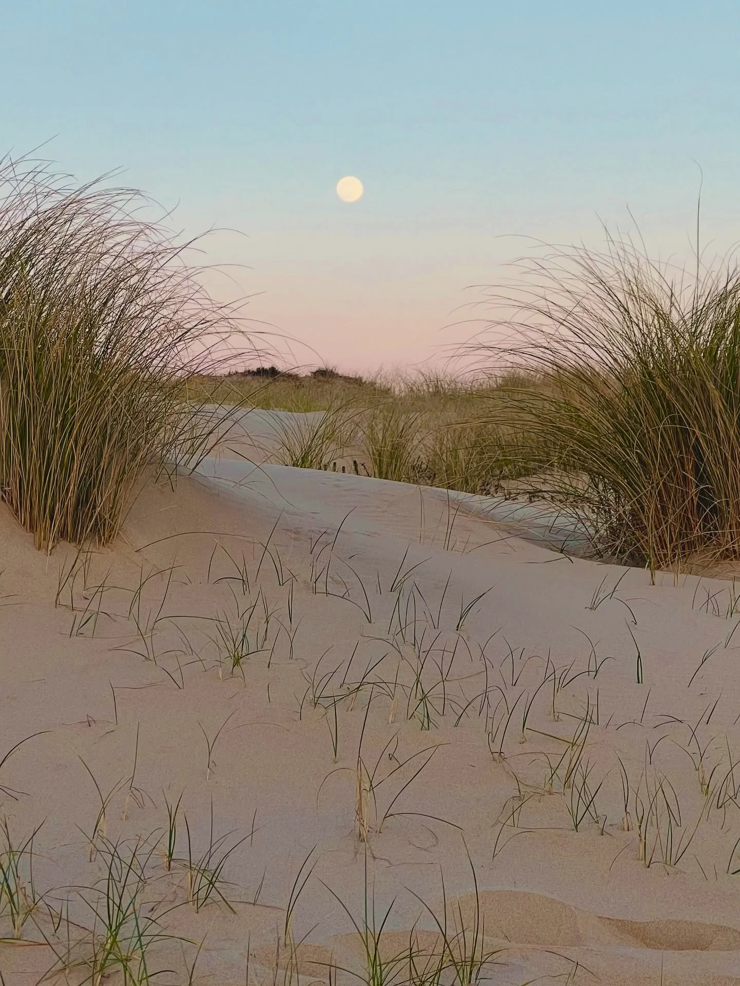 🔥L&rsquo;atelier se pr&eacute;pare avant les grandes cuissons de novembre, une vente en pr&eacute;commande arrive dimanche 2 novembre! 🔥

Les pr&eacute;commandes ouvriront pour une semaine seulement. Chaque service sera fabriqu&eacute; selon le nom