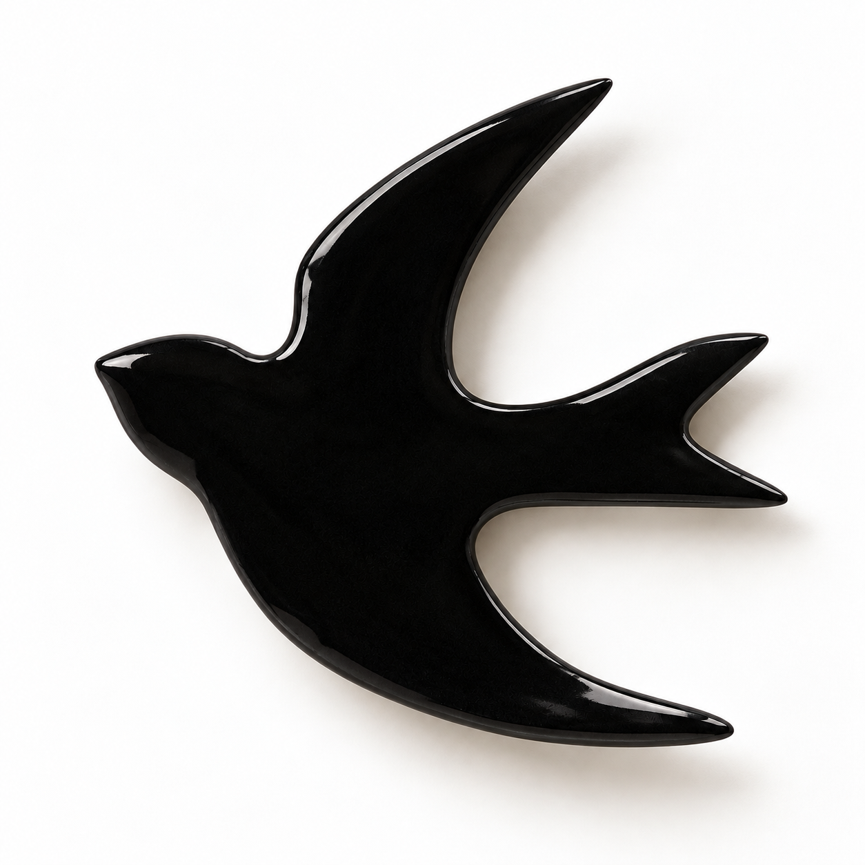 Hirondelle noire