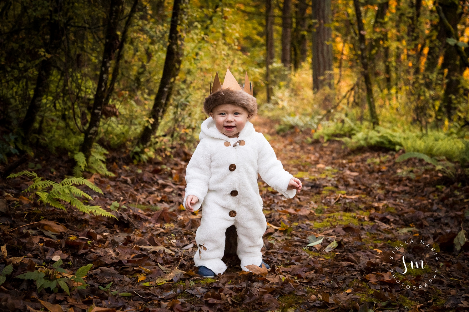 Where the wild things are birthday party - Cal's 1st Birthday - Canby Oregon