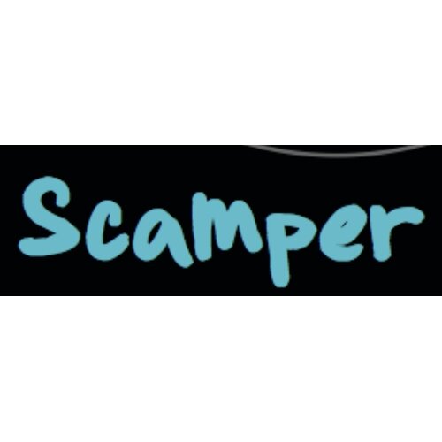 scamper copy_result.jpg
