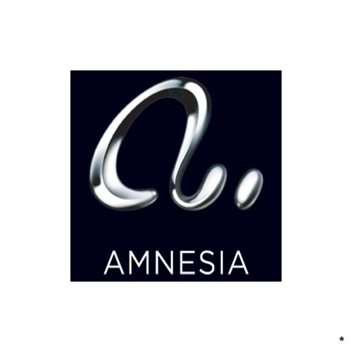 Amnesia ultra-lounge was named by Anthony Shore 