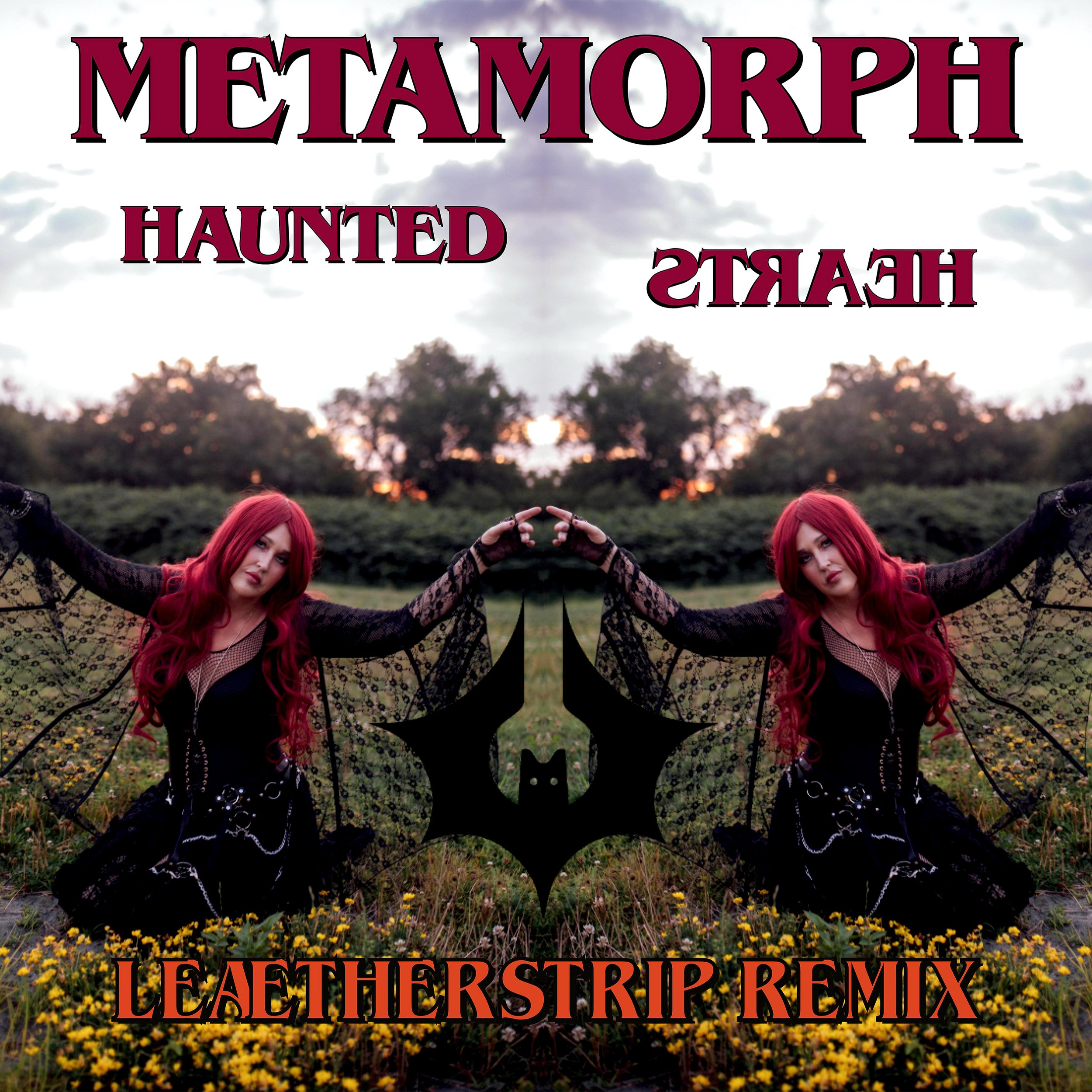 Haunted Hearts -METAMORPH Leaether Strip Remix.jpg