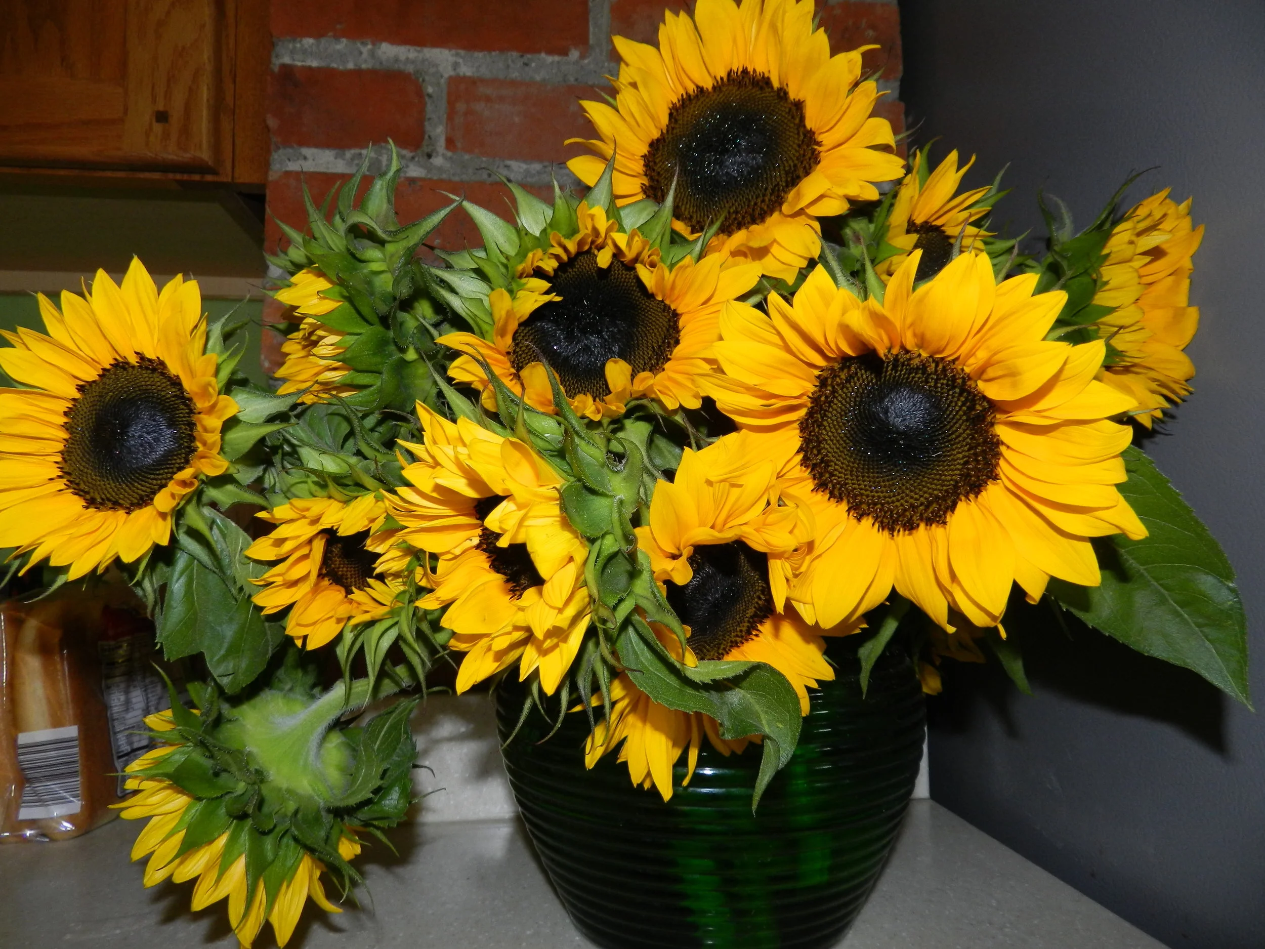 DSCN0009.JPG
