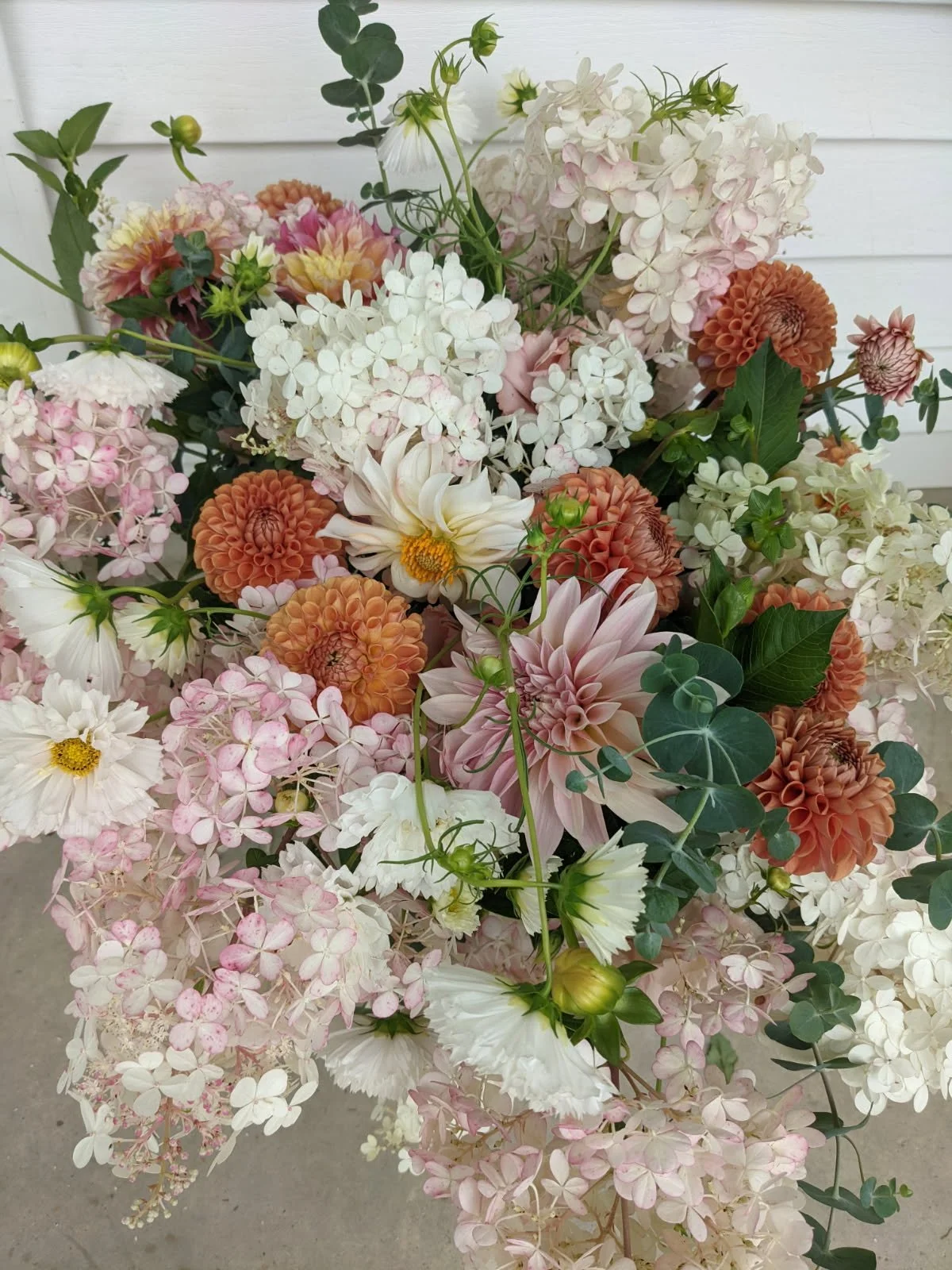 image000000 copy 2.JPG