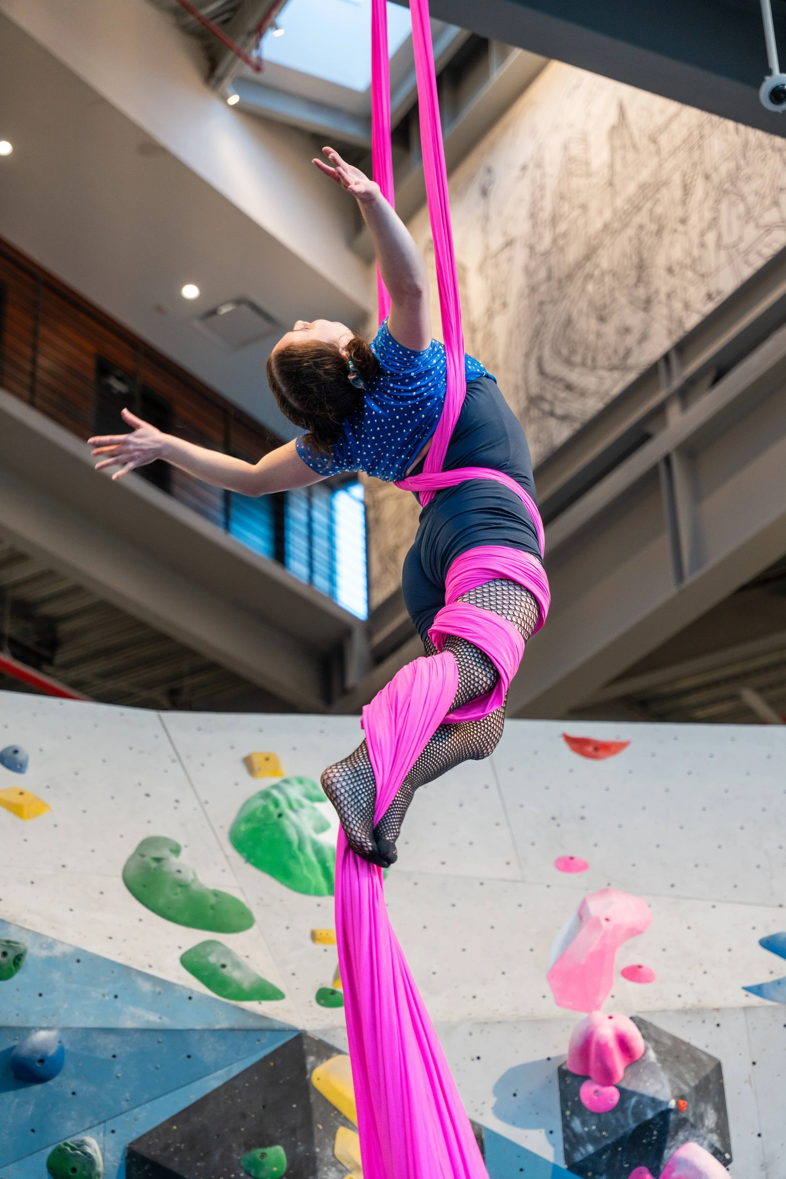 VITAL Aerial Student Showcase