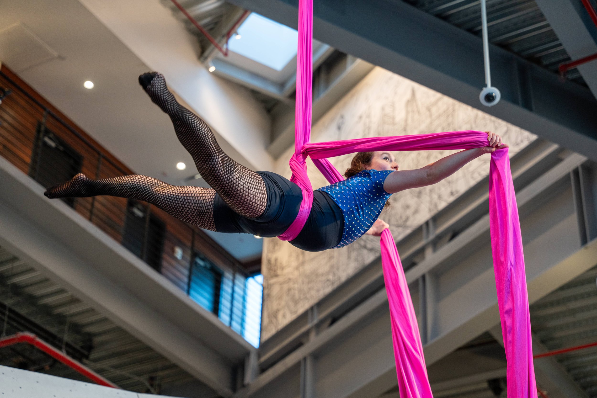 VITAL Aerial Student Showcase