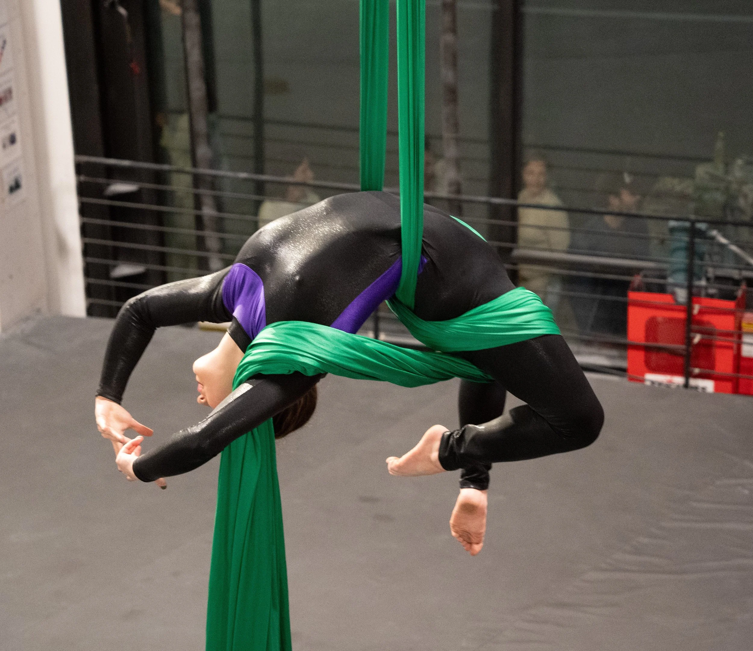 Aerial_Student_Showcase_Fall_2024-337 CROPPED.jpg