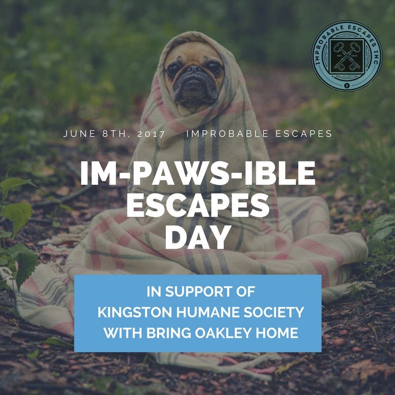 Im-PAWS-ible Escapes Day was one of the events I had the pleasure of planning while on placement with Improbable Escapes. A fundraiser for the Kingston Humane Society in partnership with Bring Oakley Home. The event is happening on June 8th.
