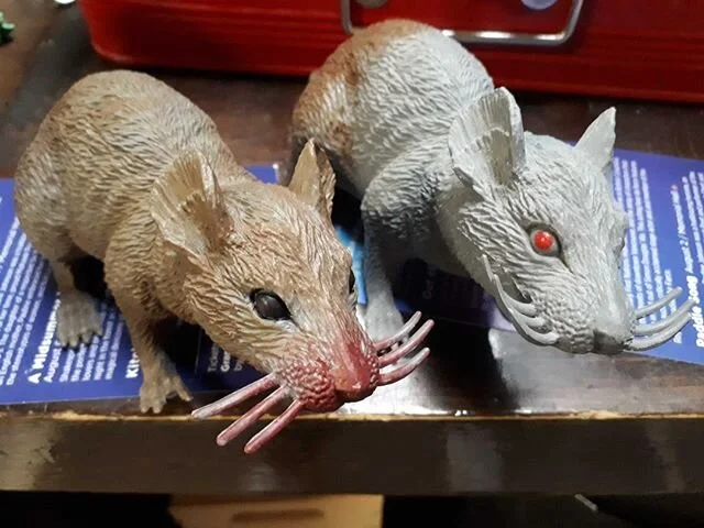 Check out this before &amp; after!

Our team has been working hard behind the scenes during our closure to the public. This involves changing puzzles and props to make them easier to clean and sanitize in between games!

Meg created put some finishing touches on the &quot;after&quot; rat (left) for our horror game, Coroner's Report!

#horror #spooky #ygk #kingstoncanada #kingston_on #escaperoom #roomescape