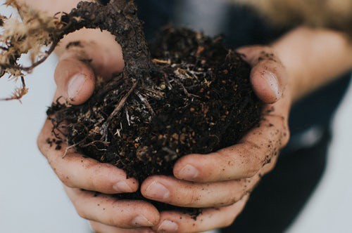 composting.jpeg
