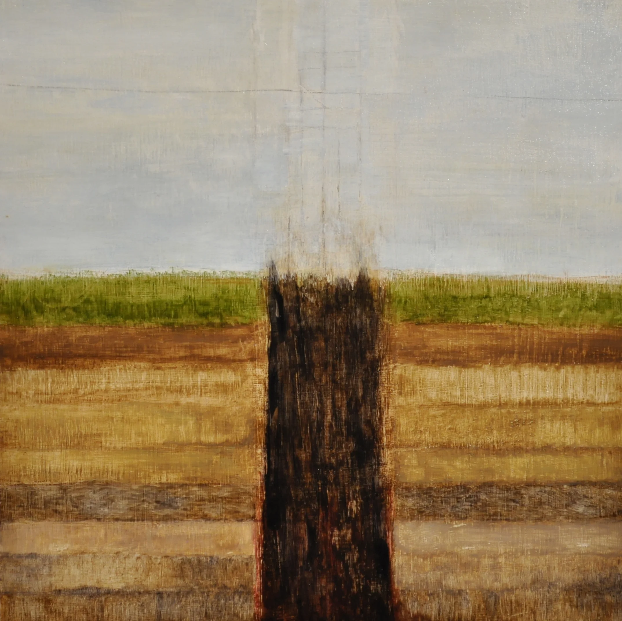  timber, 2017  oil on wood panel, 25.1 x 25 .1 cm 