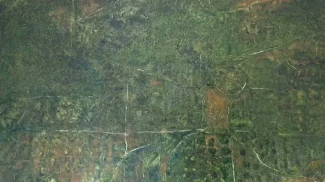 Sandra Gregson, still from land 3 copy.jpeg