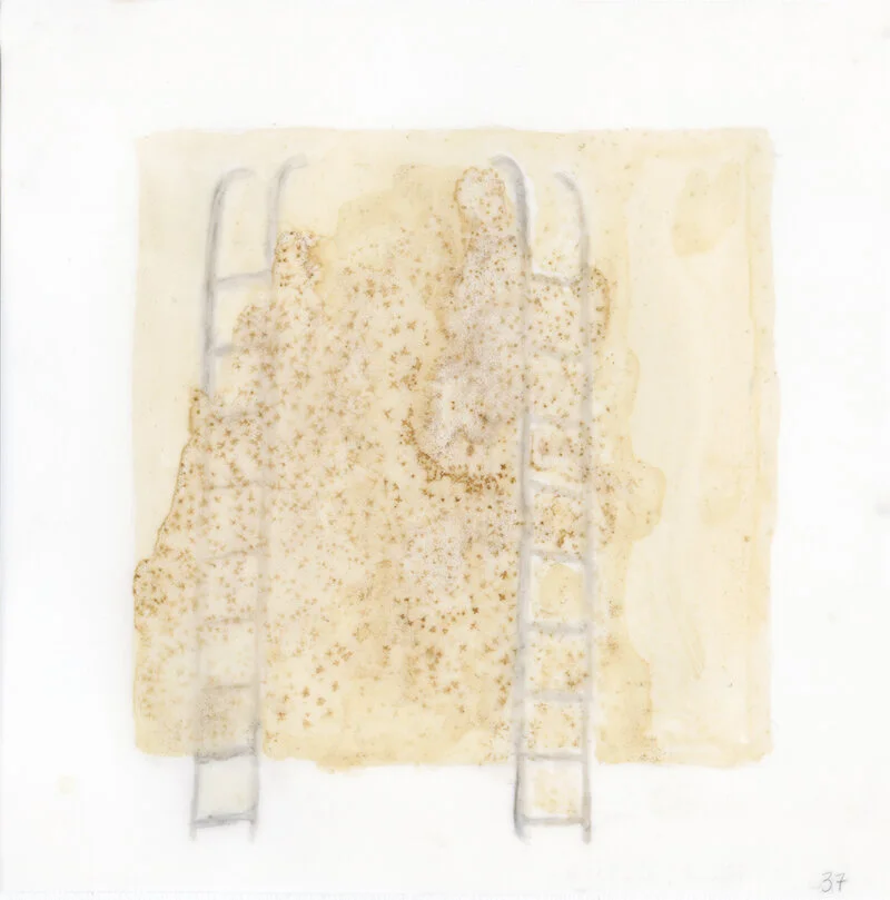 2 ladders with rust 2019