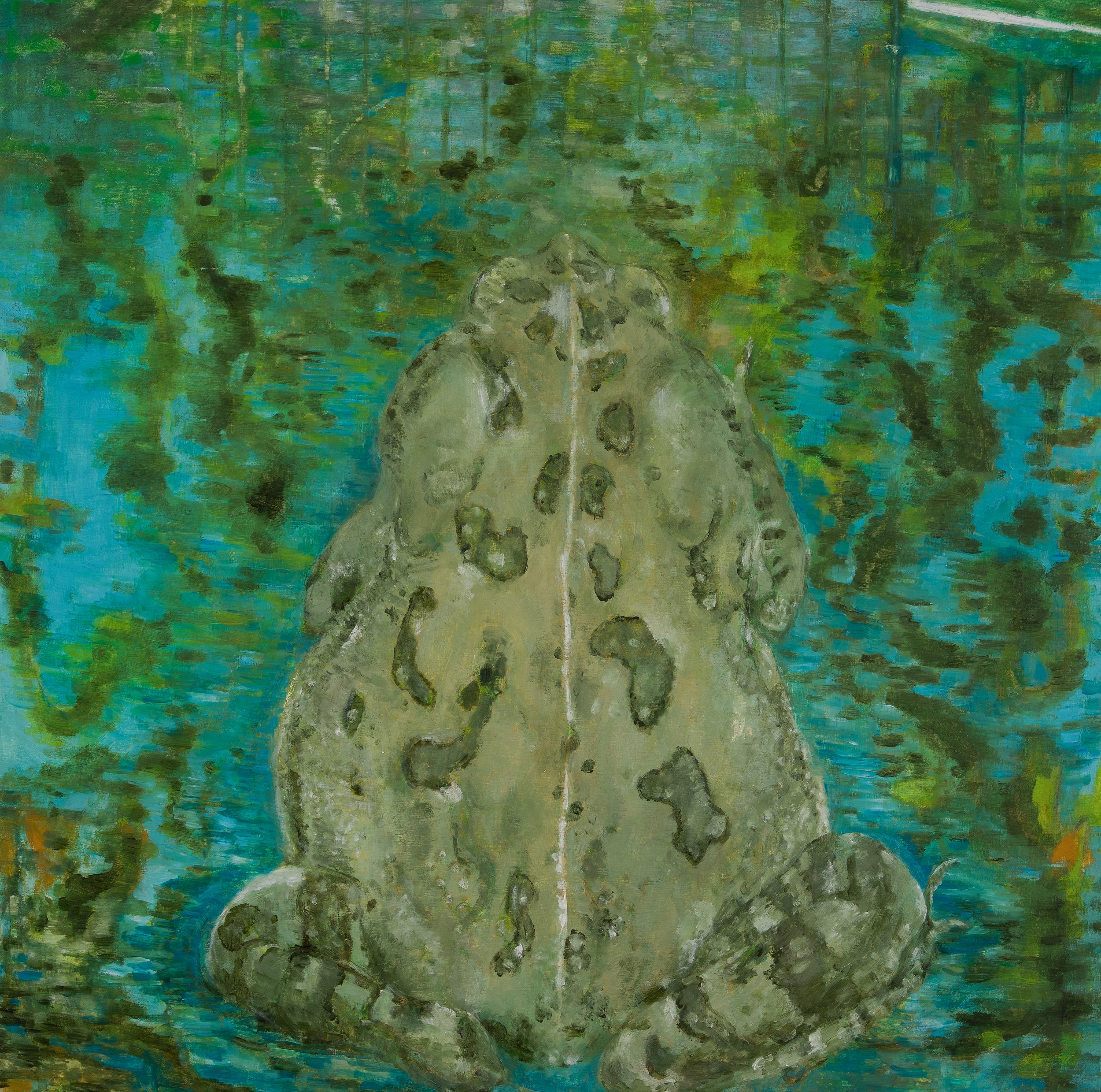 Fowler's Toad (Habitat), 2023
