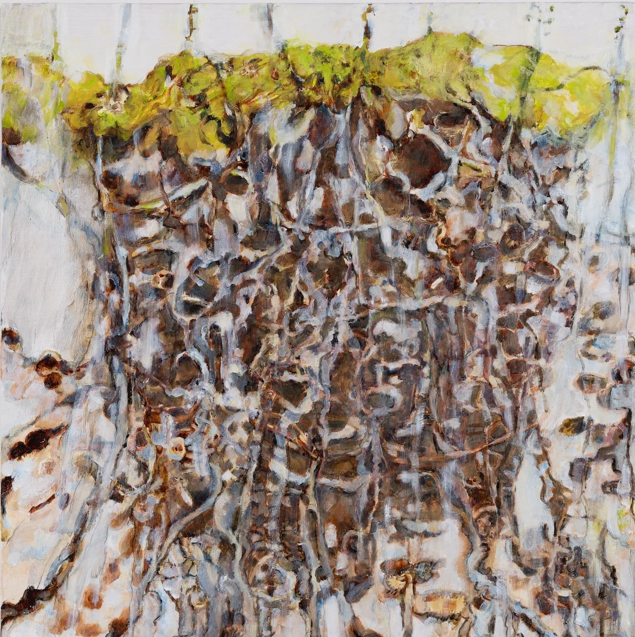 Fossils Below, 2025/6, oil on wood panel, 40 x 40 cm