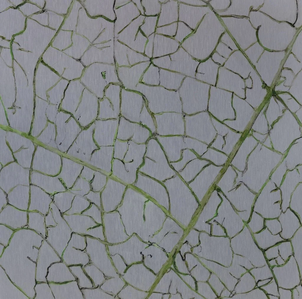 Leaf Cells, 2025, oil on aluminum, 30 x 30 cm