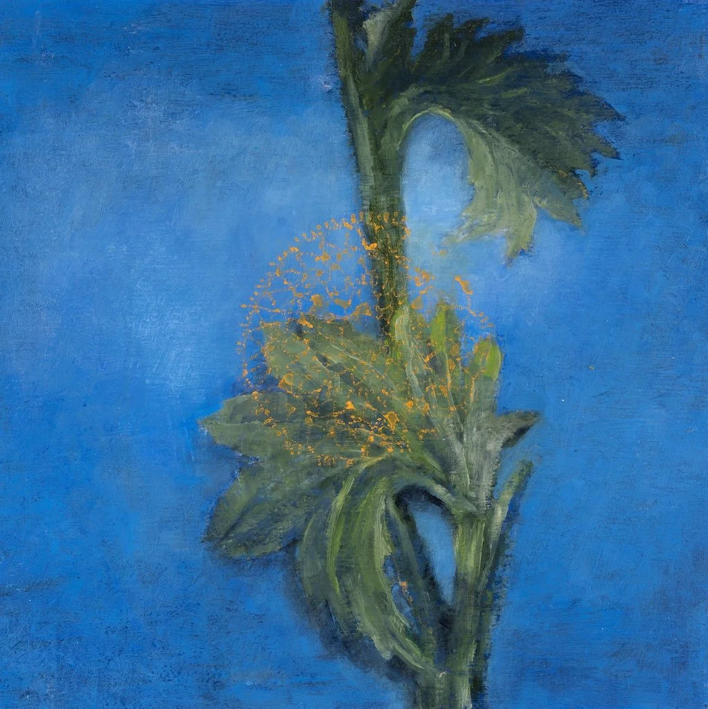 Stomata, 2026, oil on wood panel, 20 x 20 cm