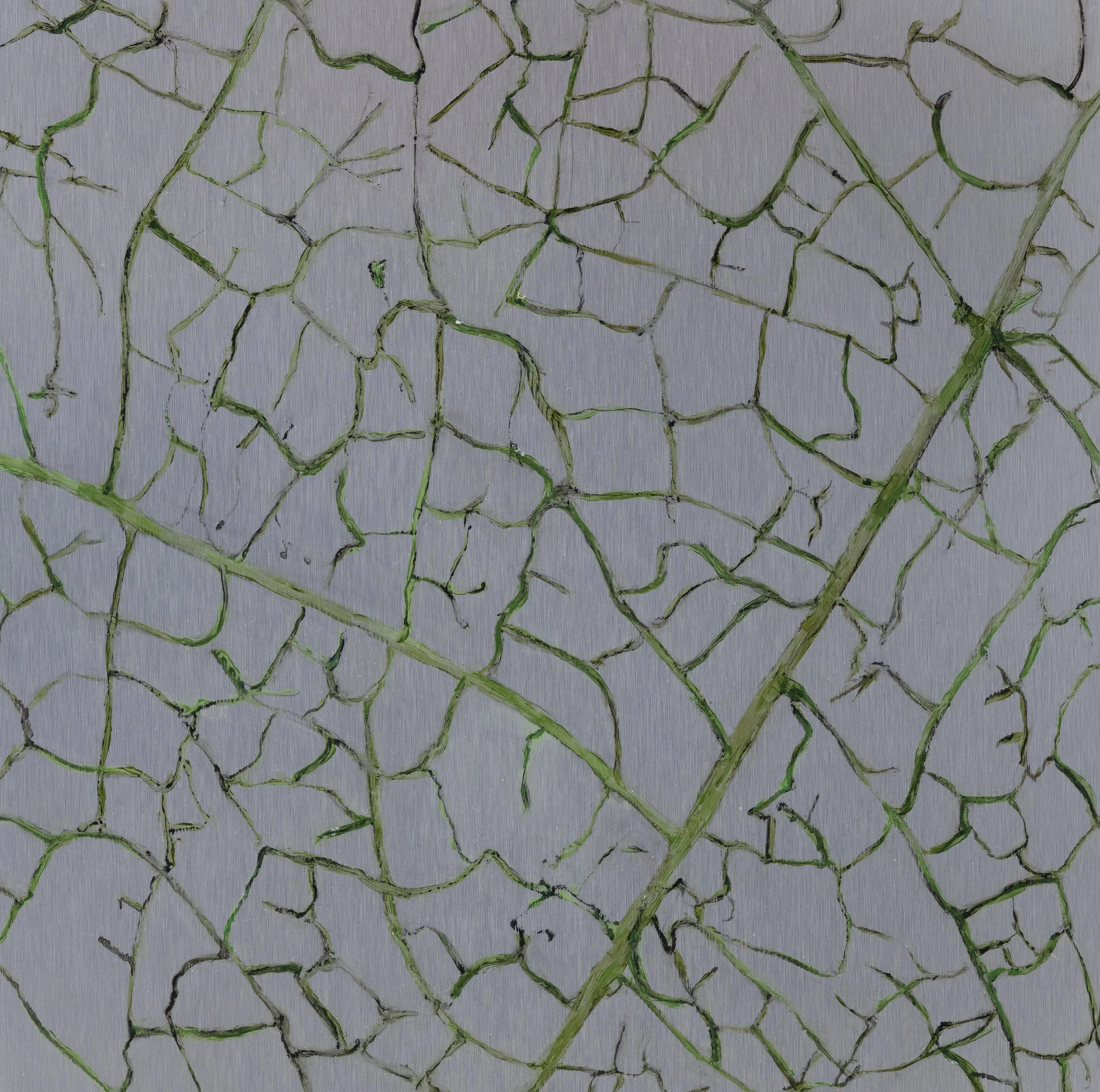Leaf Cells, 2025, oil on aluminum, 30 x 30 cm