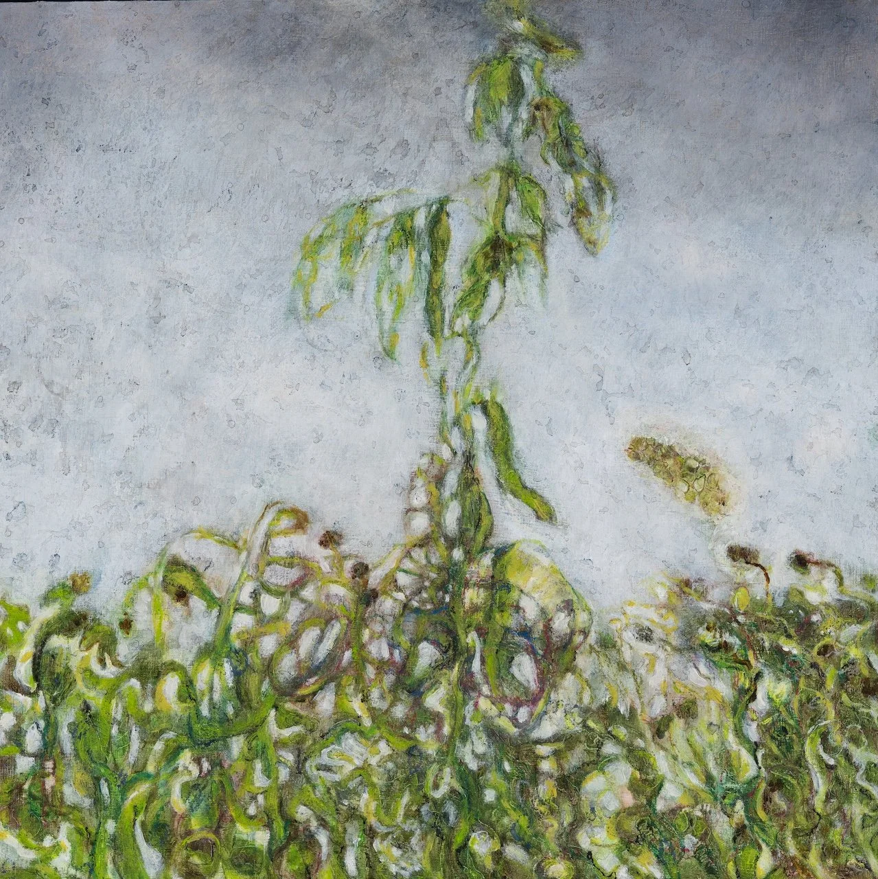 Beanstalk and Particulates, 2025, oil on wood panel, 30 x 30 cm