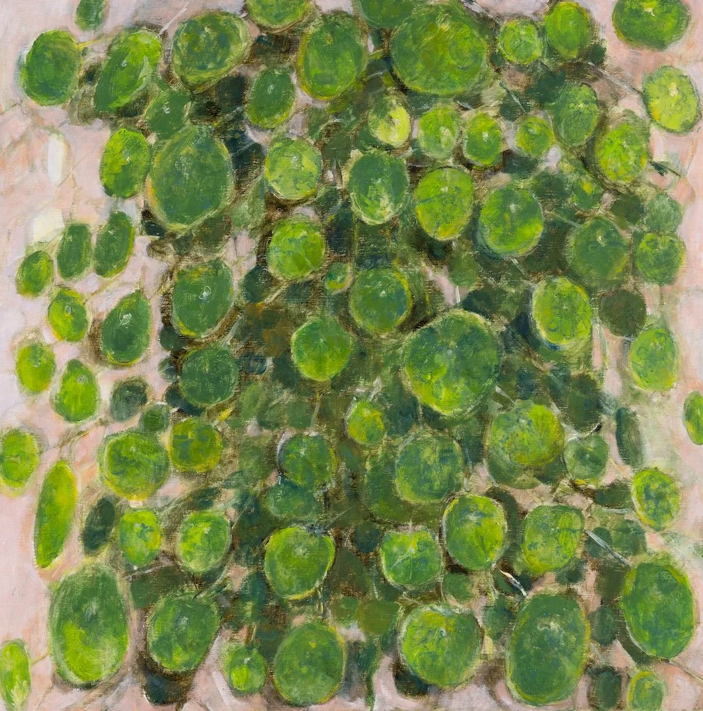 Circular Leaves, 2026, oil on wood panel, 30 x 30 cm