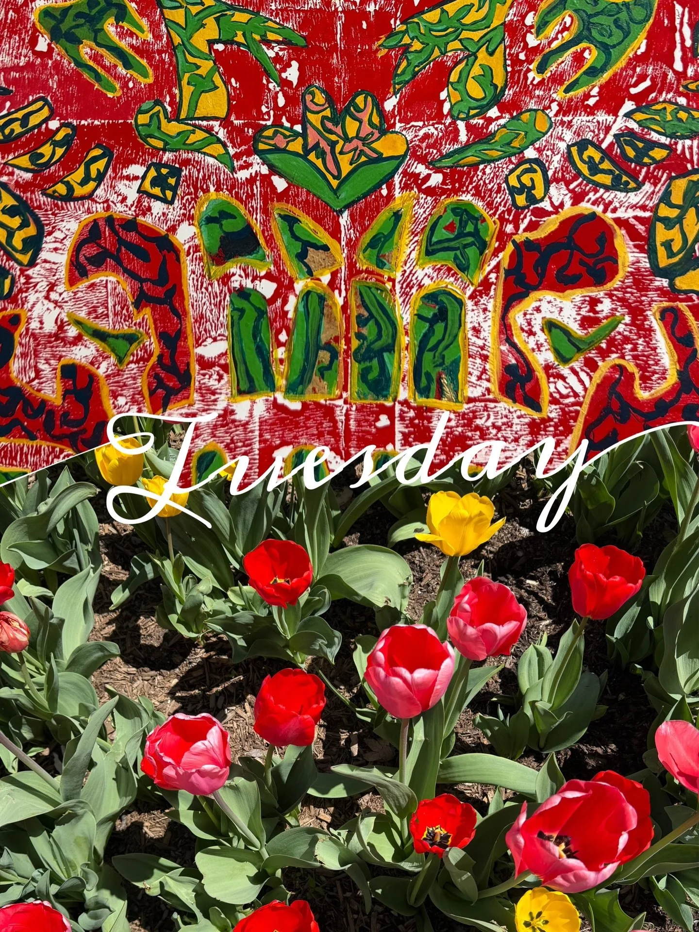 Can&rsquo;t get enough of this. #somuchgoodness