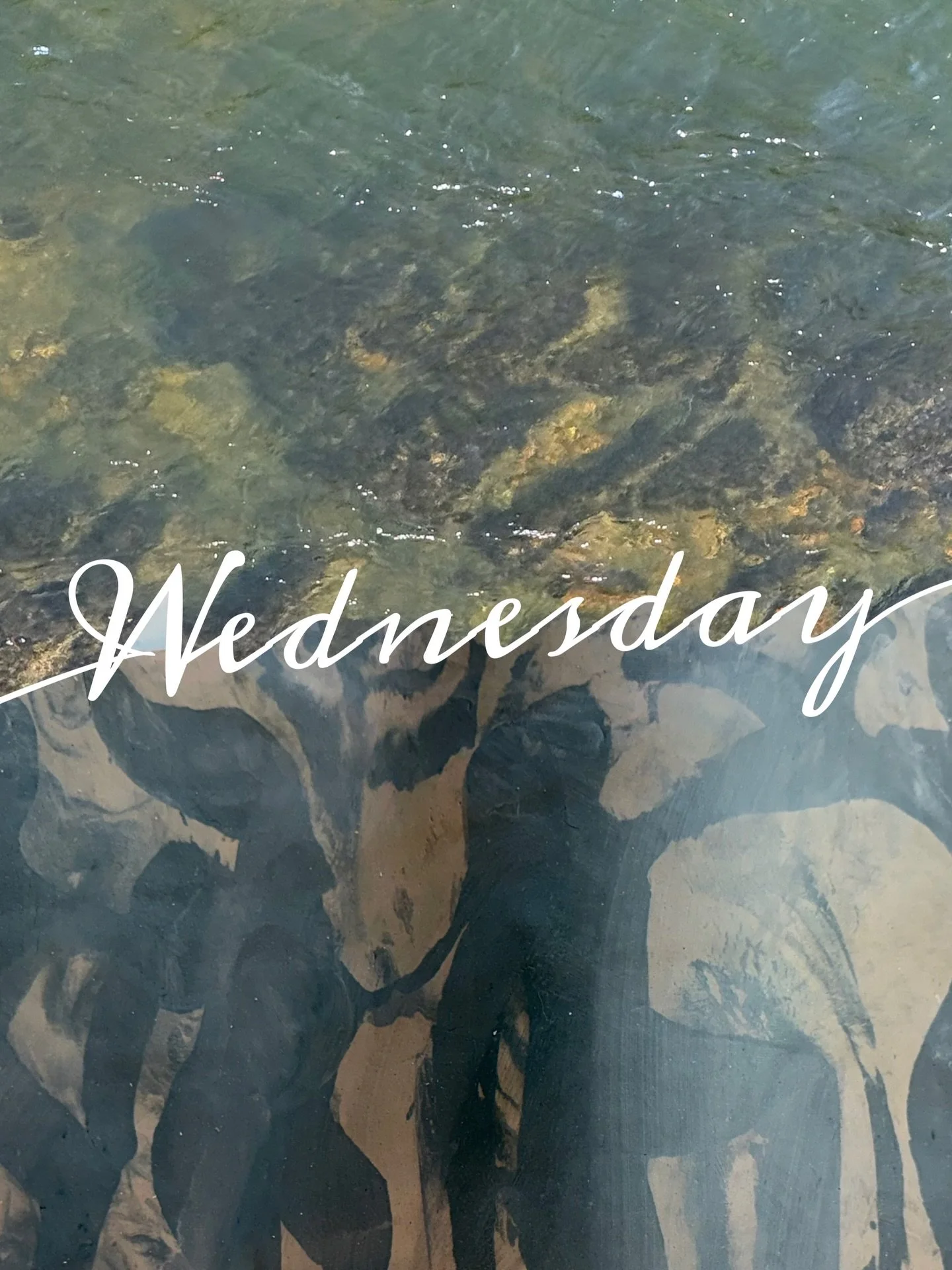 What a week filled with the wonders of the blue ridge mountains #northcarolinamade