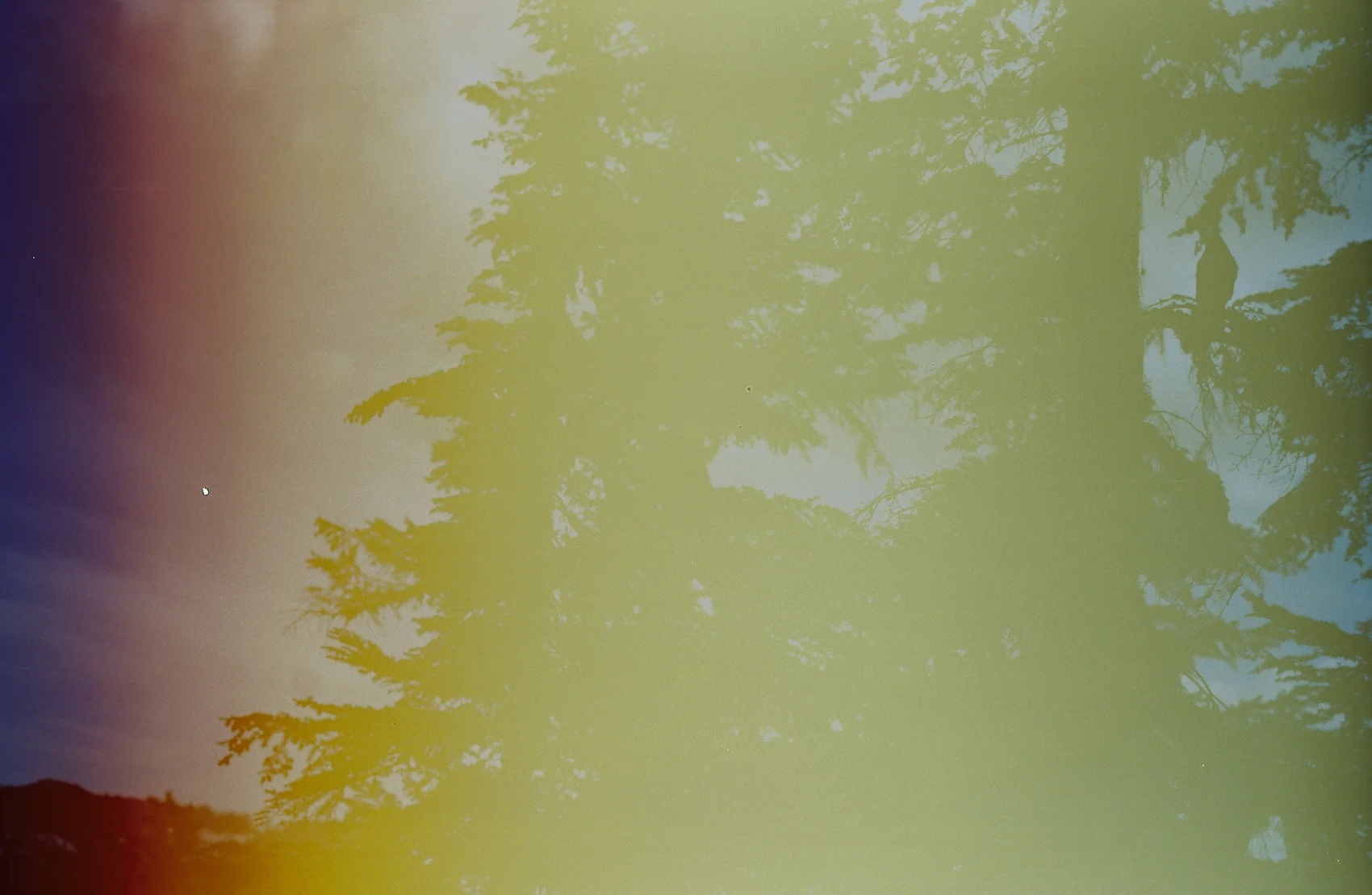 95683C2-R01-032A copy.Jpg