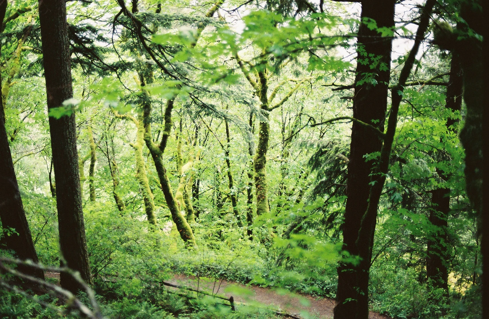 98032C1-R01-014 copy.Jpg