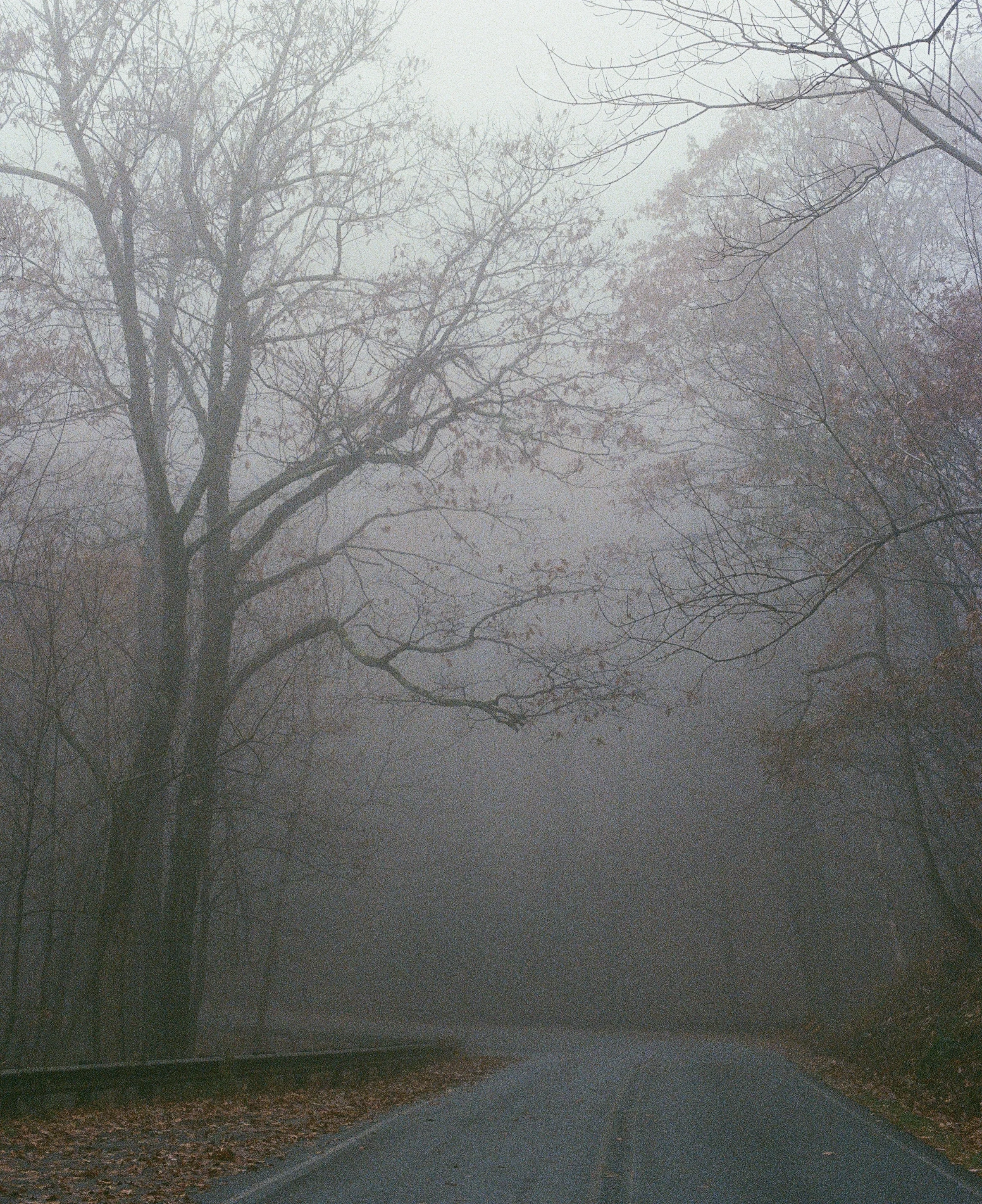 48190028 copy.JPG