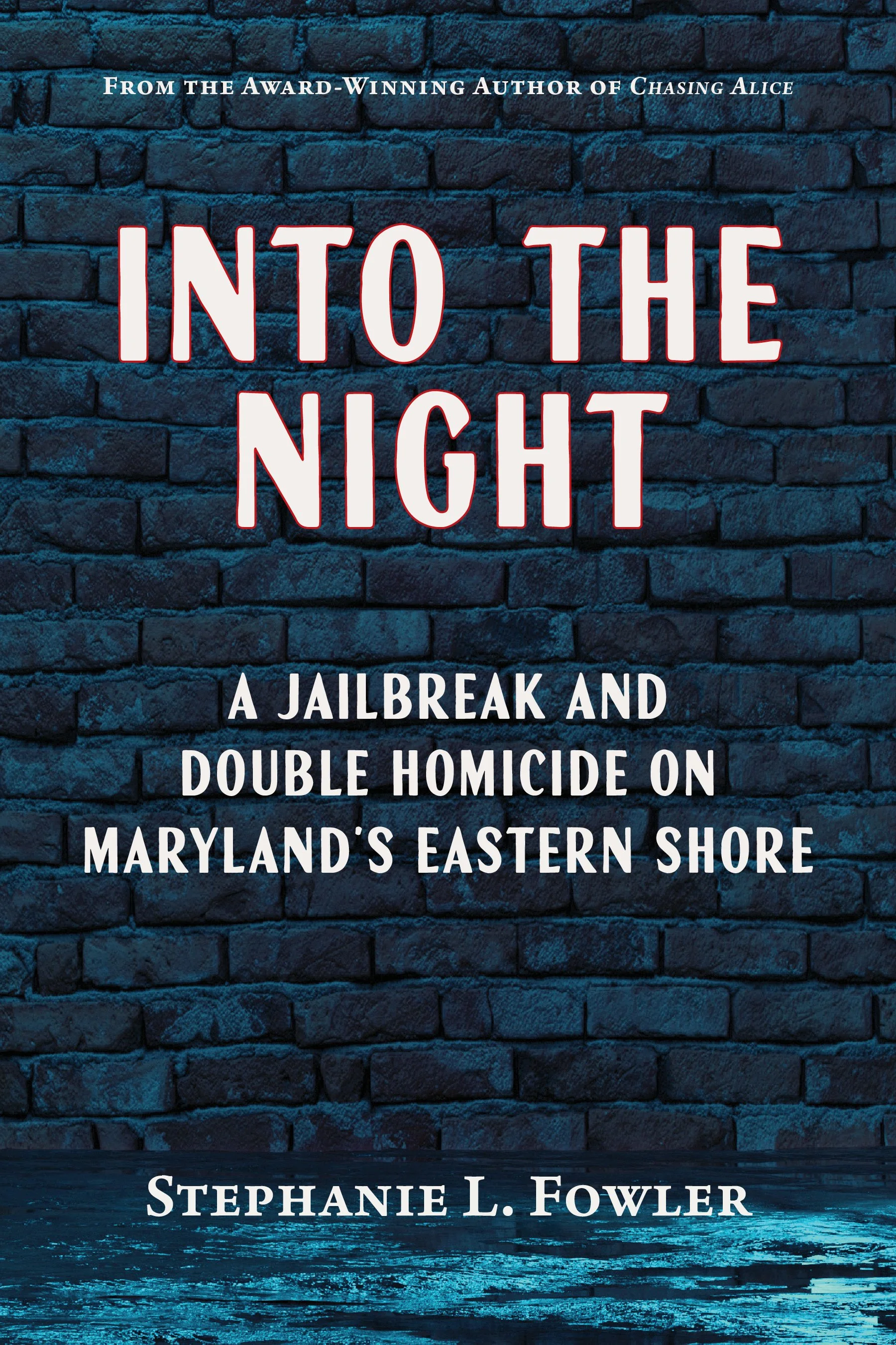 Into the Night_front cover image.jpg