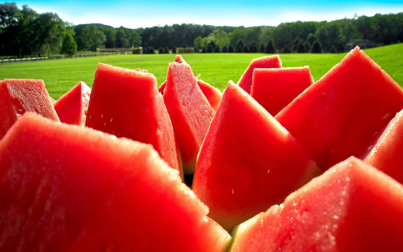 Juicy Watermelon.jpg