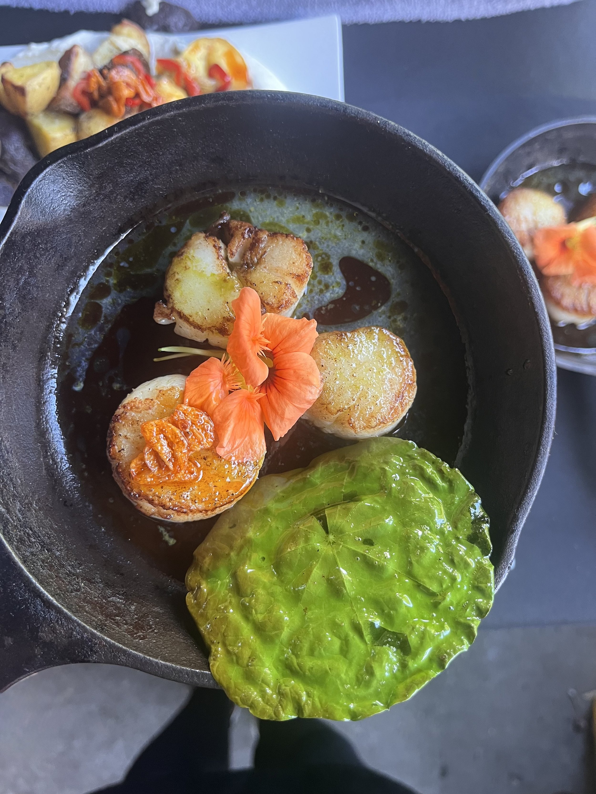 WRP scallops.jpg
