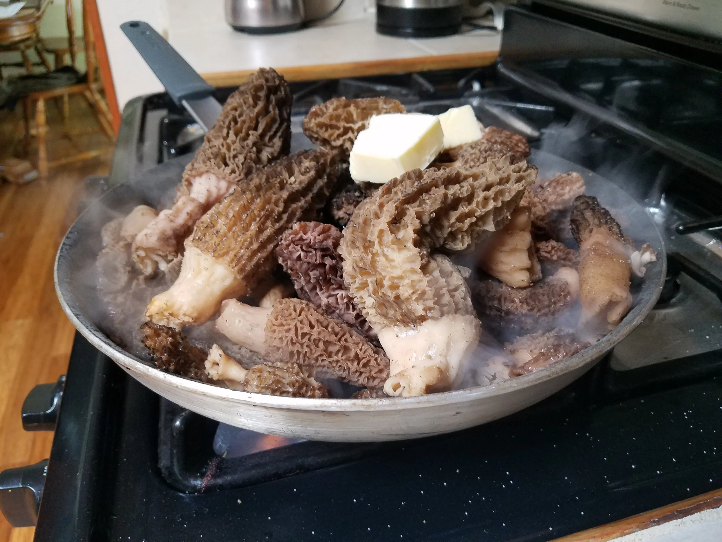 Chef Wes Morels.jpg