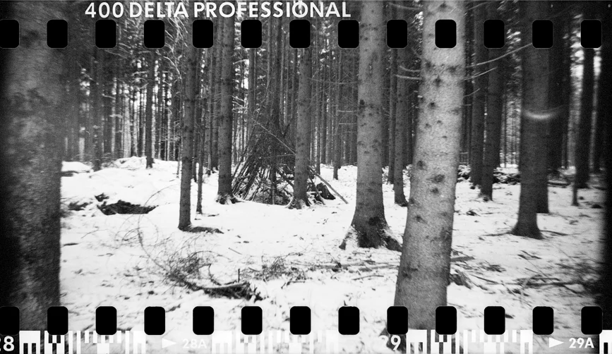 14_02_09_holga15.jpg