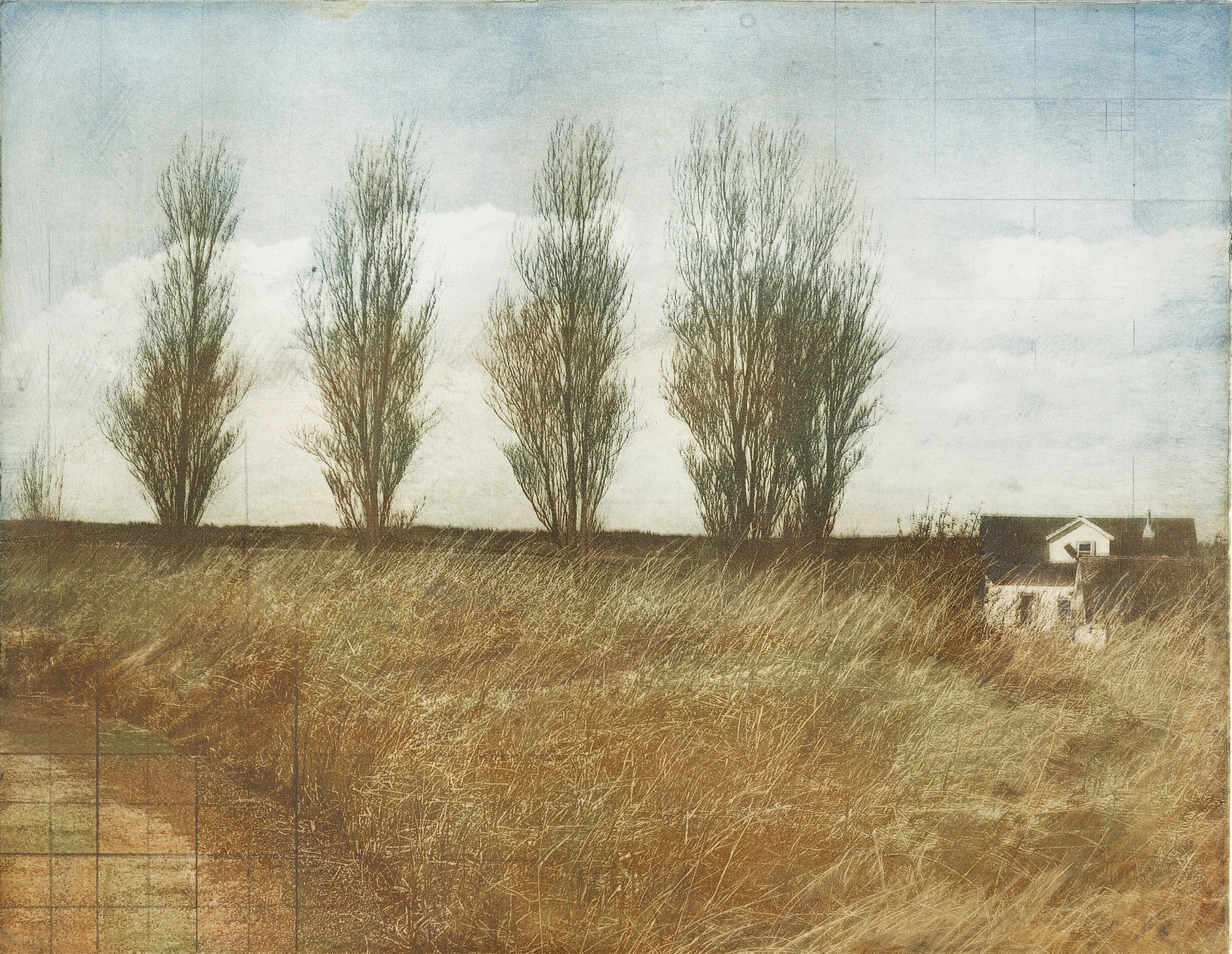 Discovery Park Series: Poplar at West Point Lighthouse, 2010