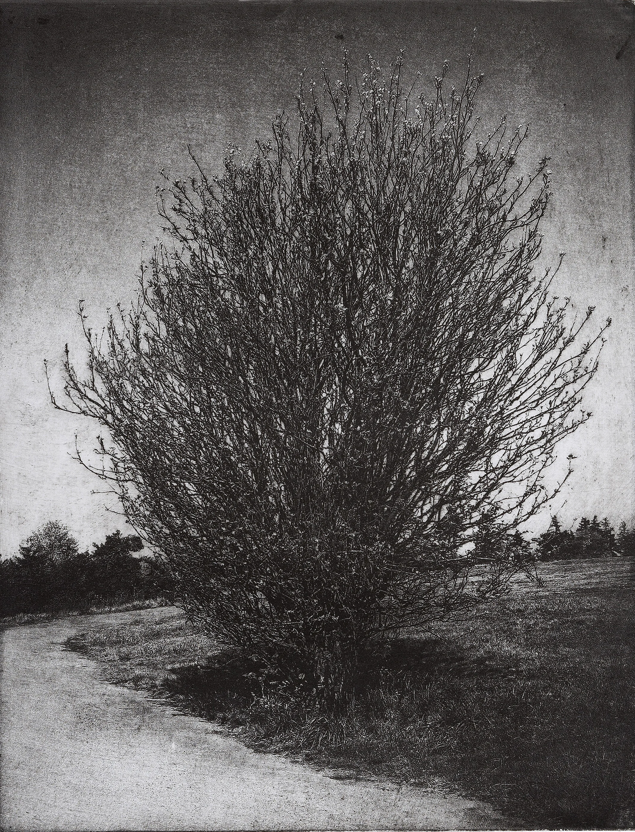 Discovery Park Series: West Point Gable, 2010