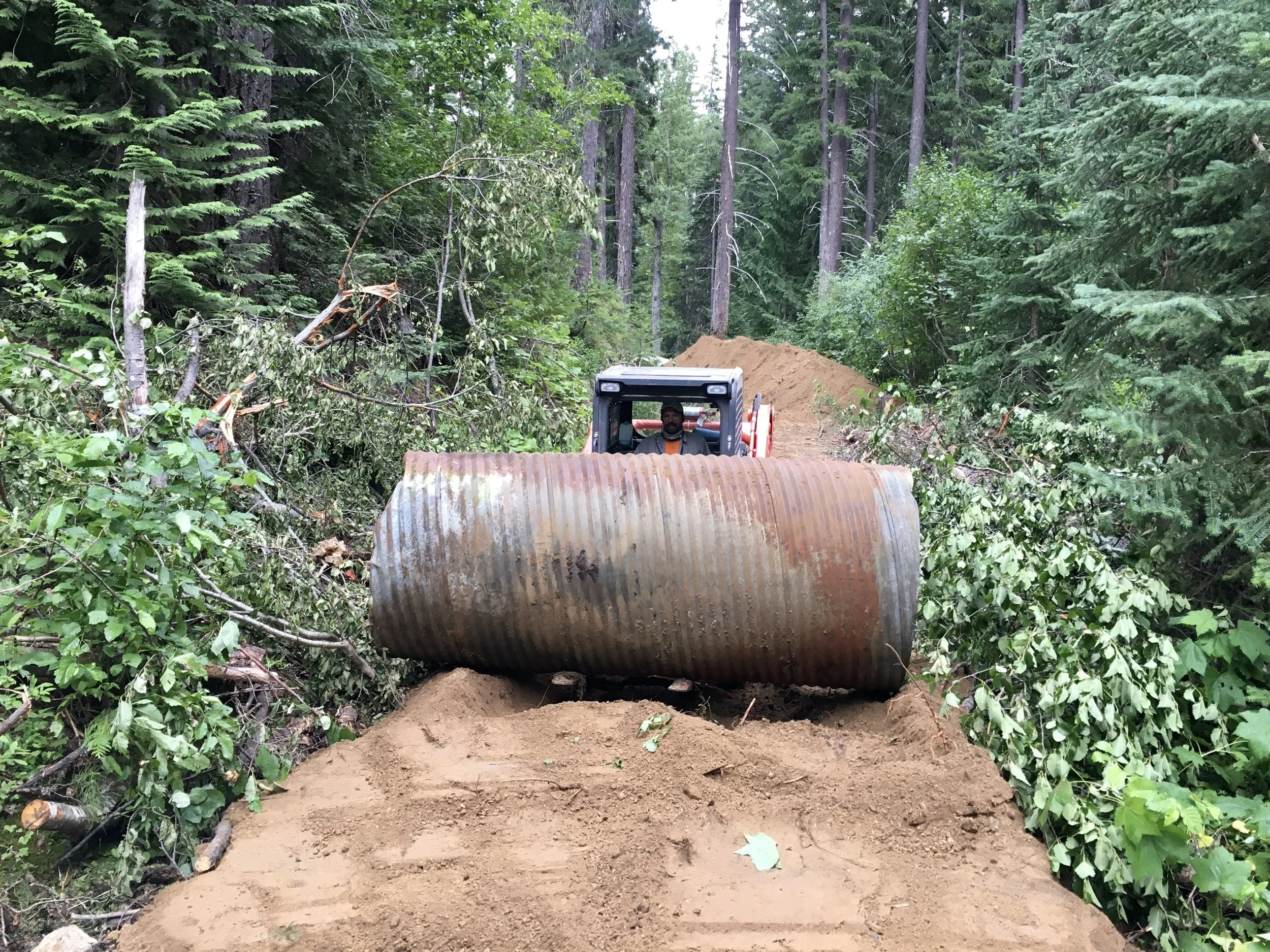 Culvert Removals