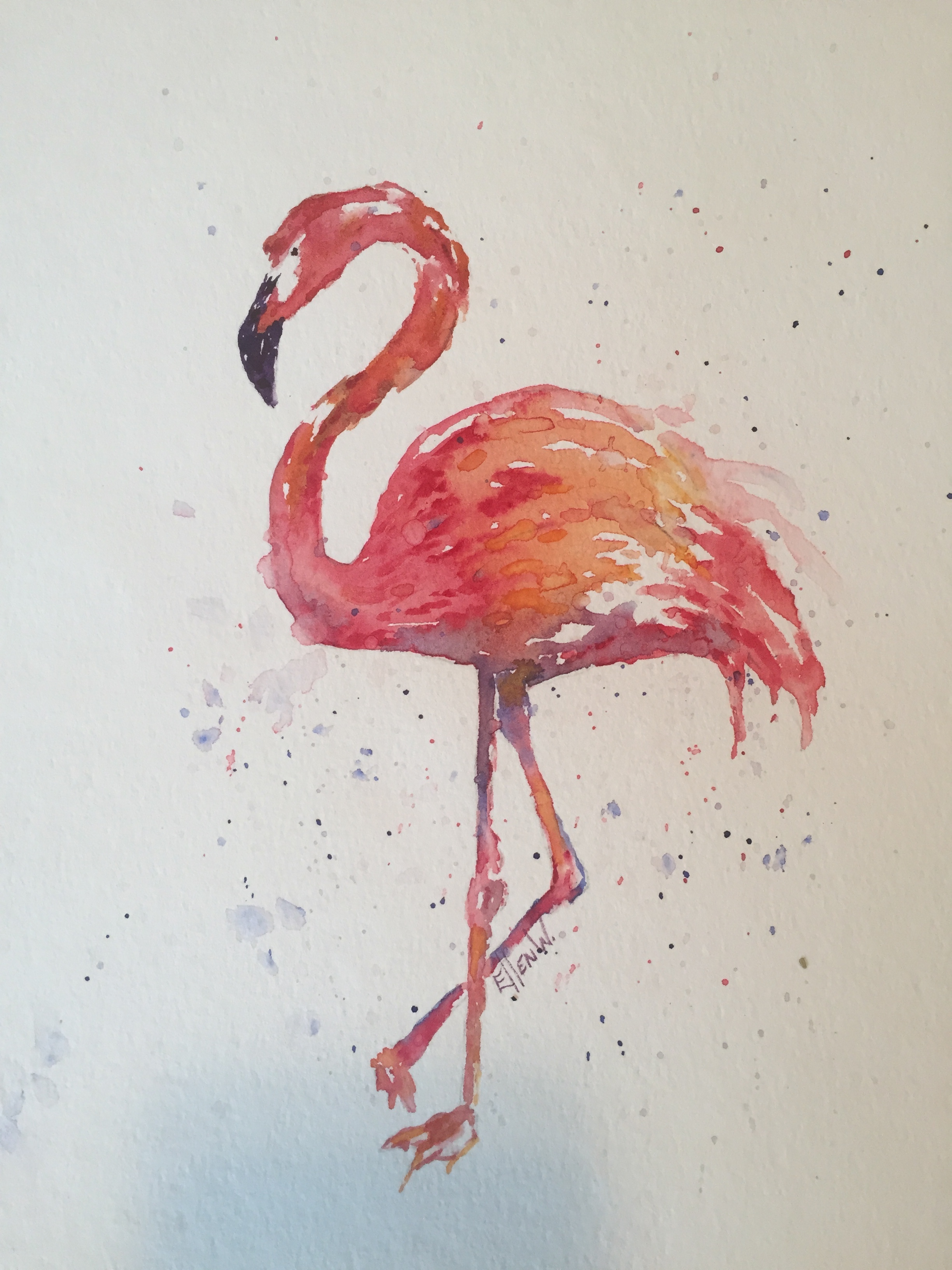 Flamingo