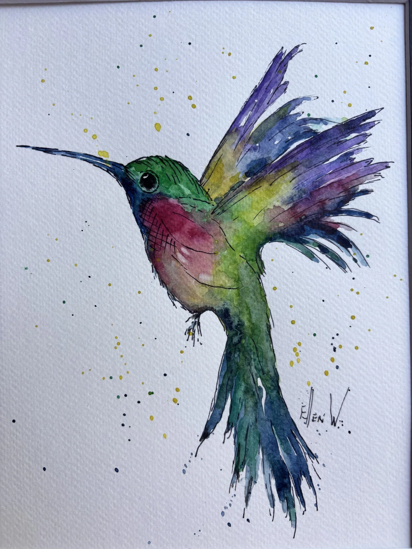 hummingbird.jpg
