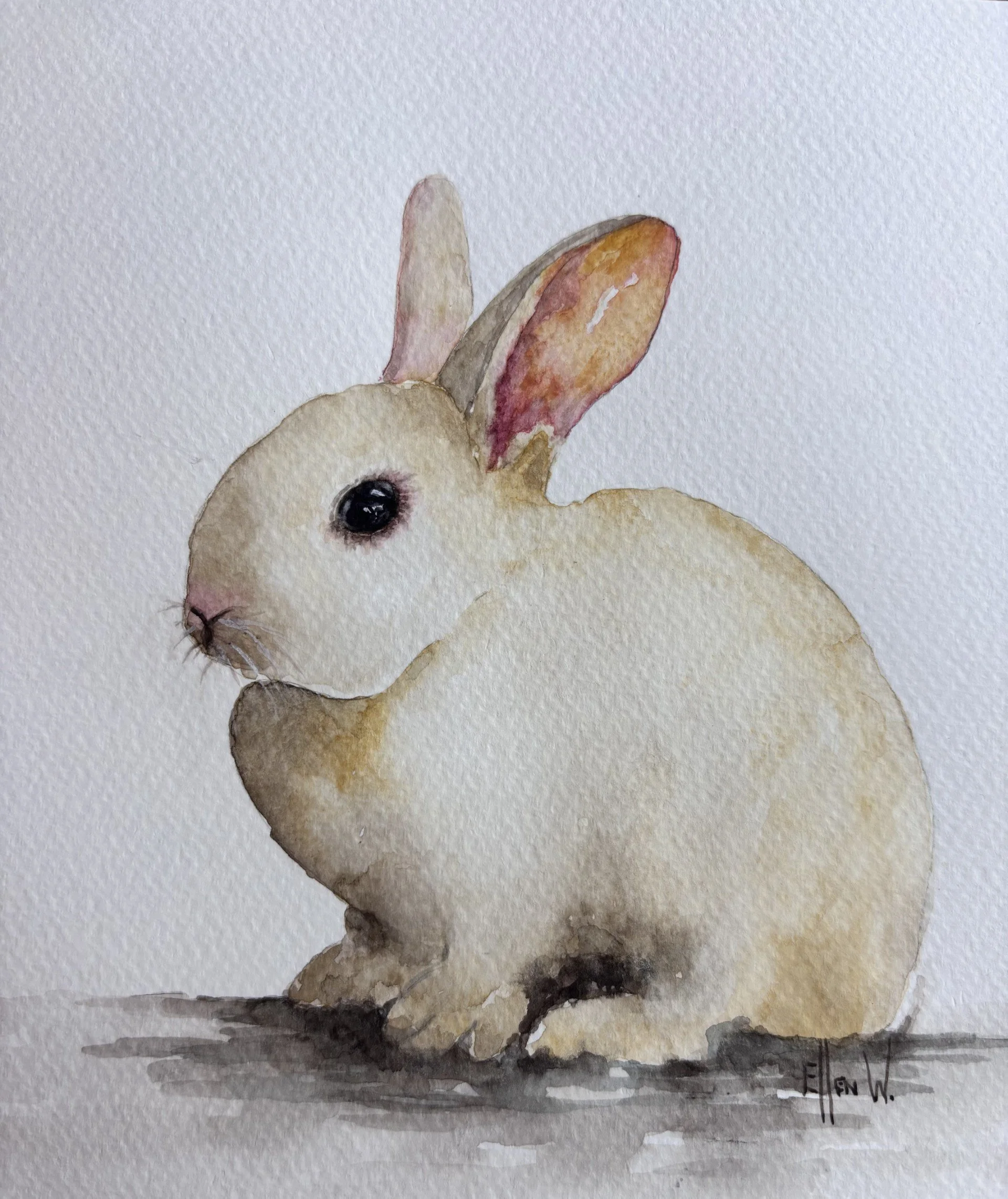 white bunny.jpg