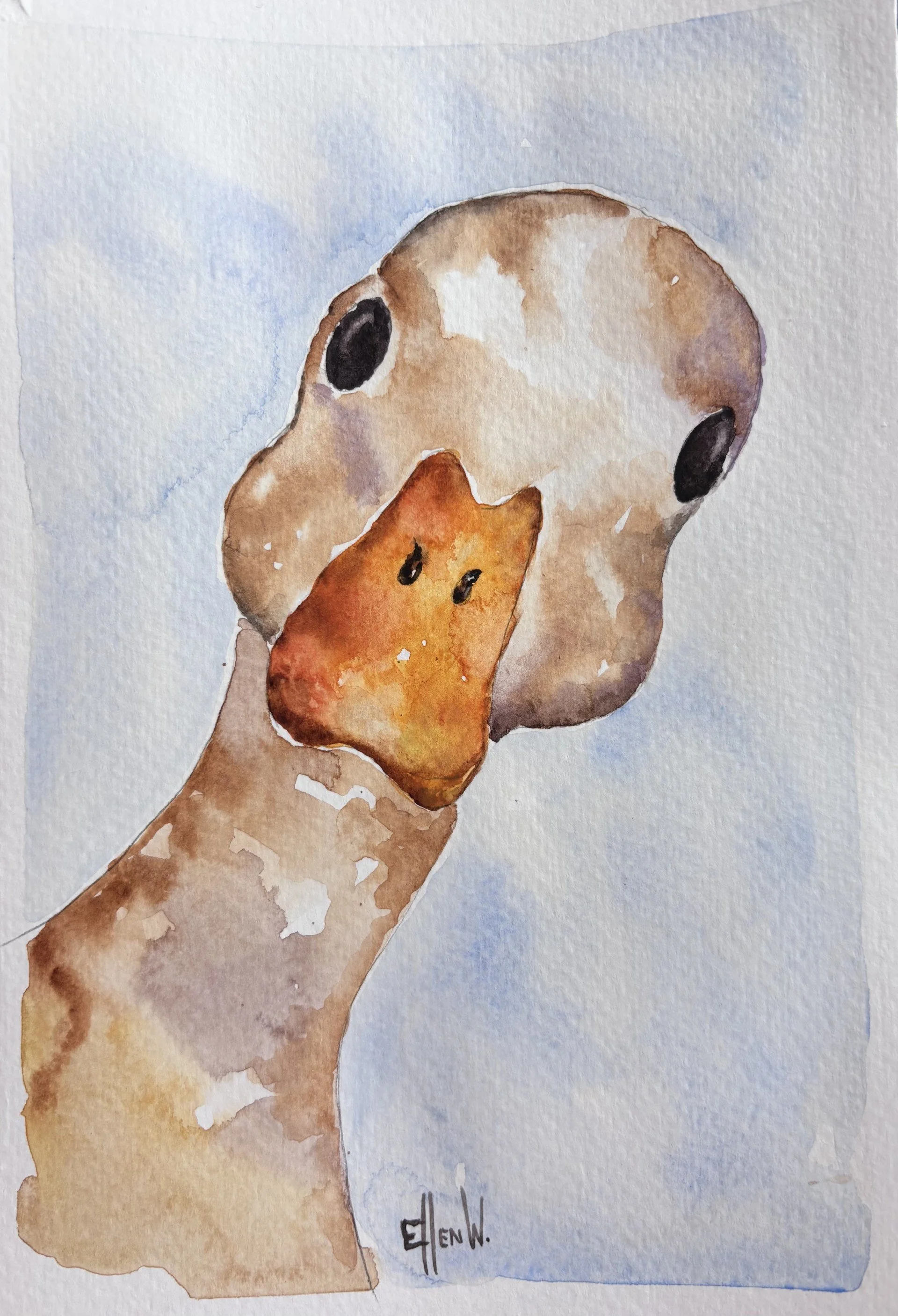duck.jpg